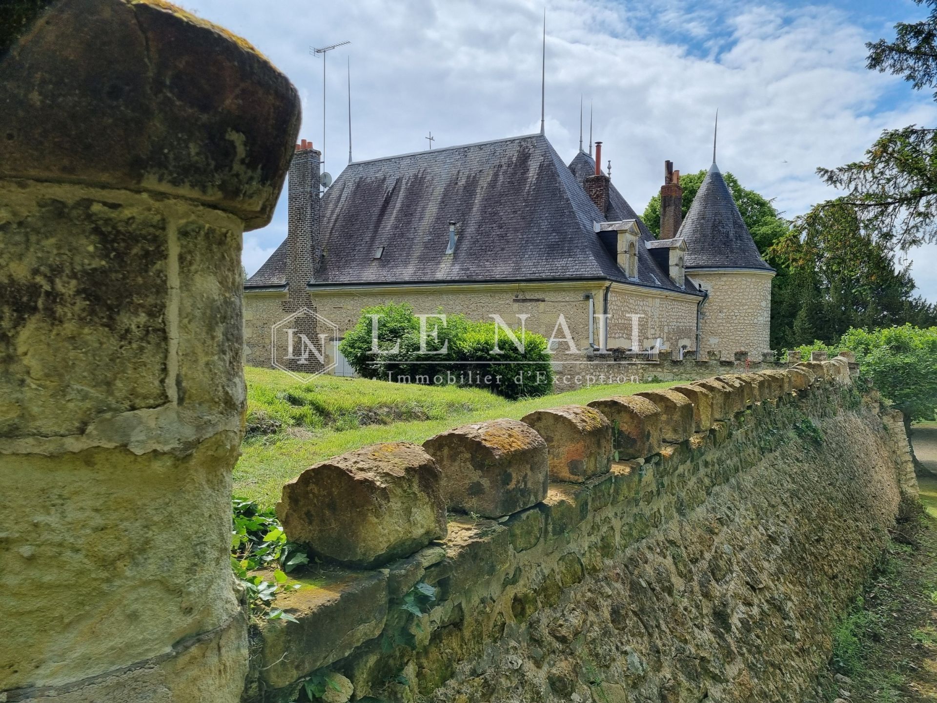 castle 20 rooms for sale on CHATEAU DU LOIR (72500)