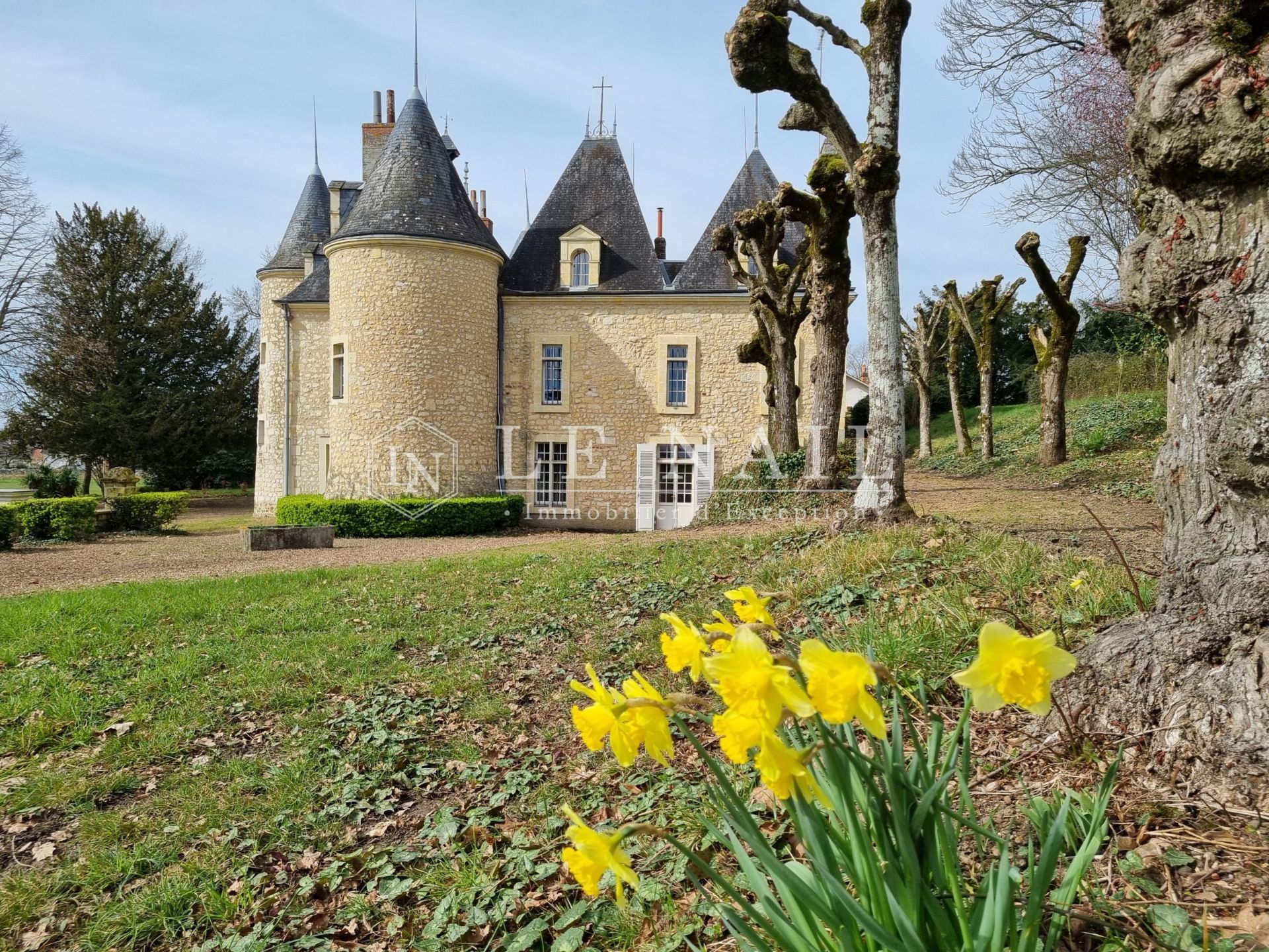 castle 20 rooms for sale on CHATEAU DU LOIR (72500)