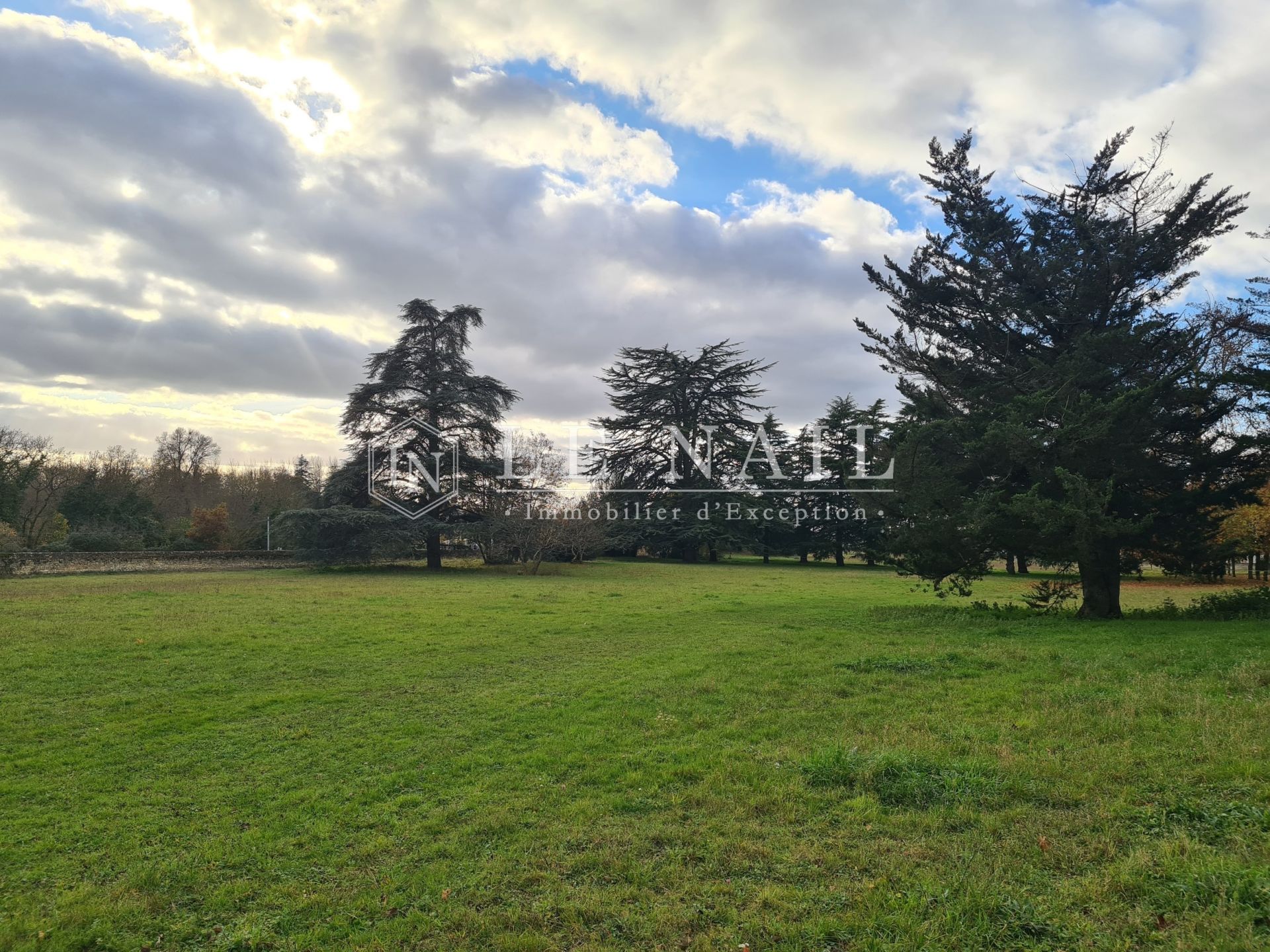 castle 20 rooms for sale on CHATEAU DU LOIR (72500)