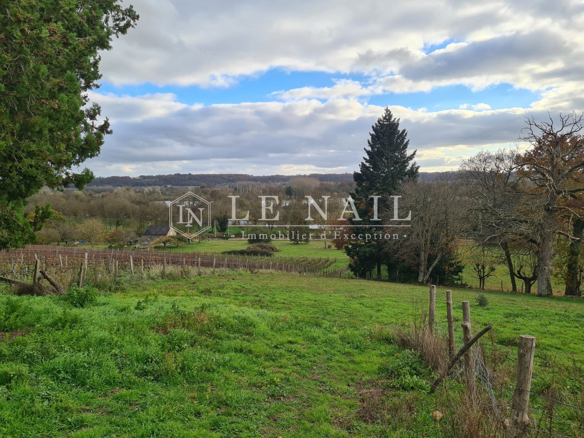 castle 20 rooms for sale on CHATEAU DU LOIR (72500)