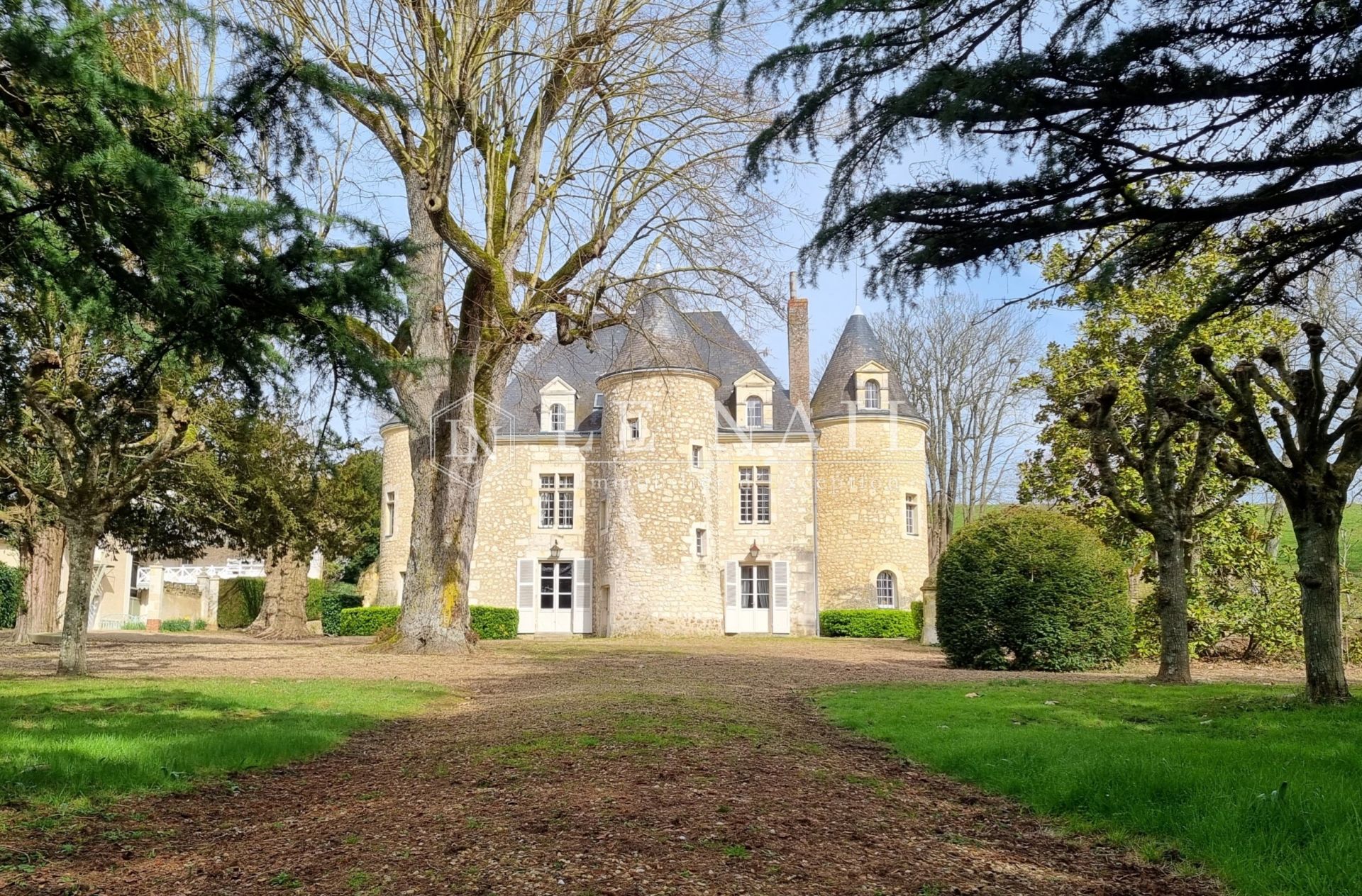 castle 20 rooms for sale on CHATEAU DU LOIR (72500)