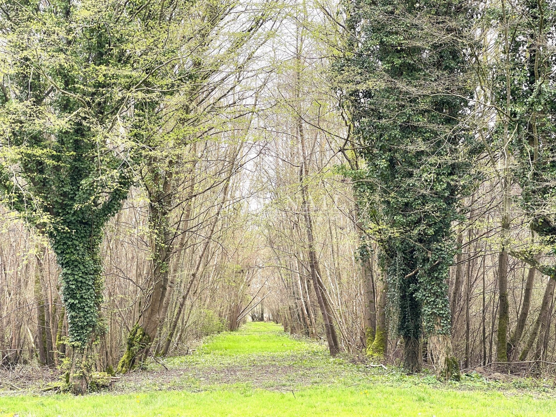 château 36 pièces en vente à CHALONS EN CHAMPAGNE (51000)