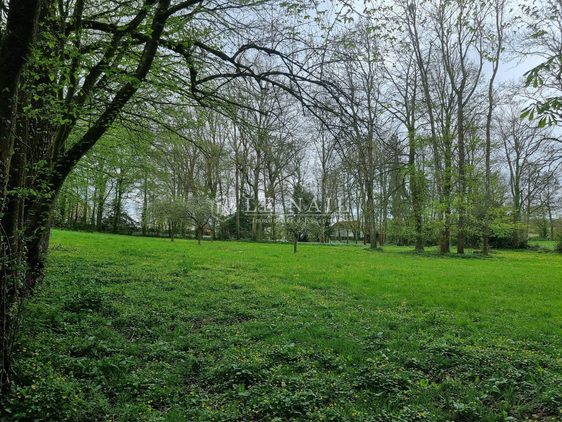 manor house 14 rooms for sale on CONDE EN NORMANDIE (14110)