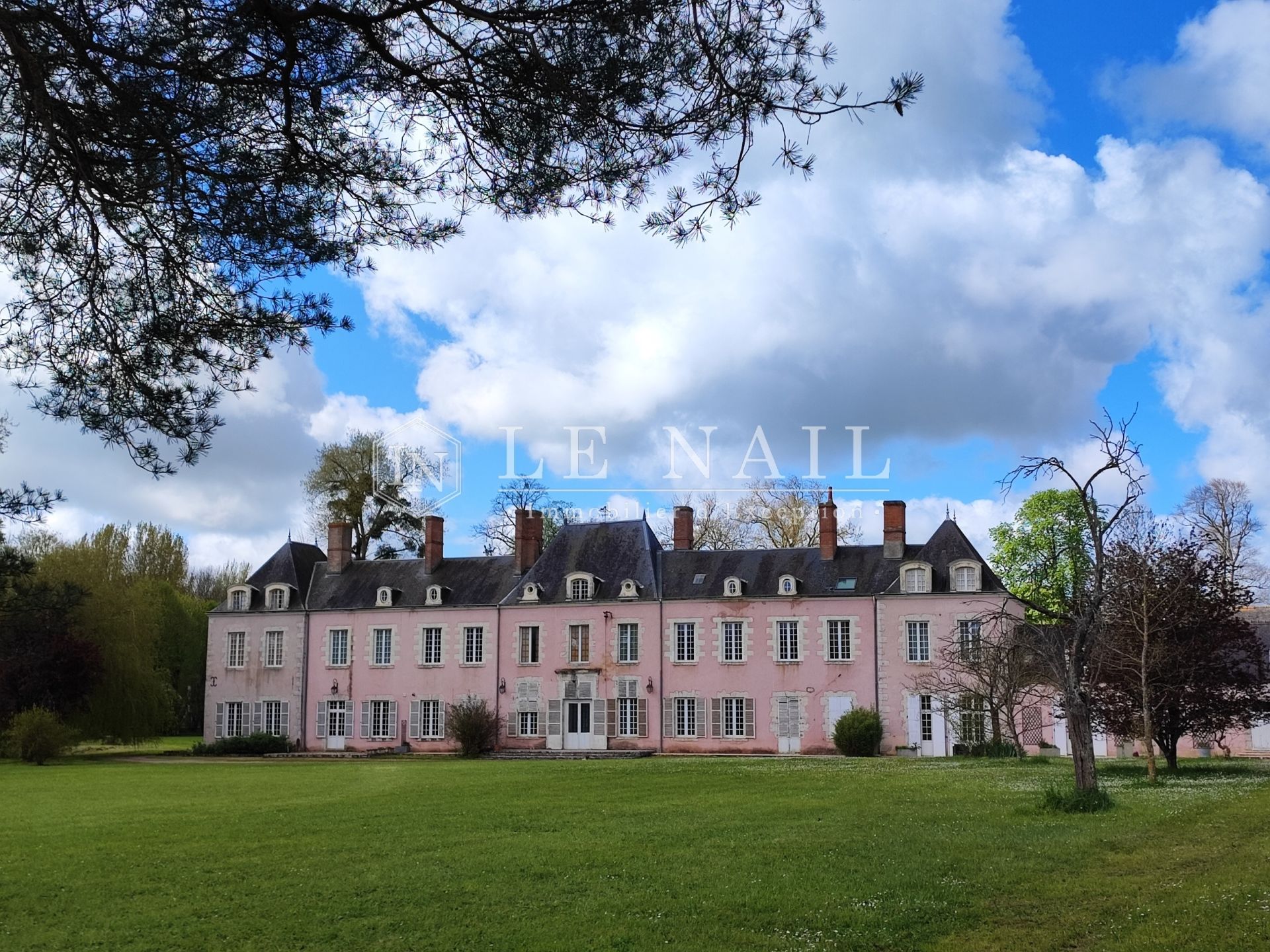 castle 22 rooms for sale on ORLEANS (45000)