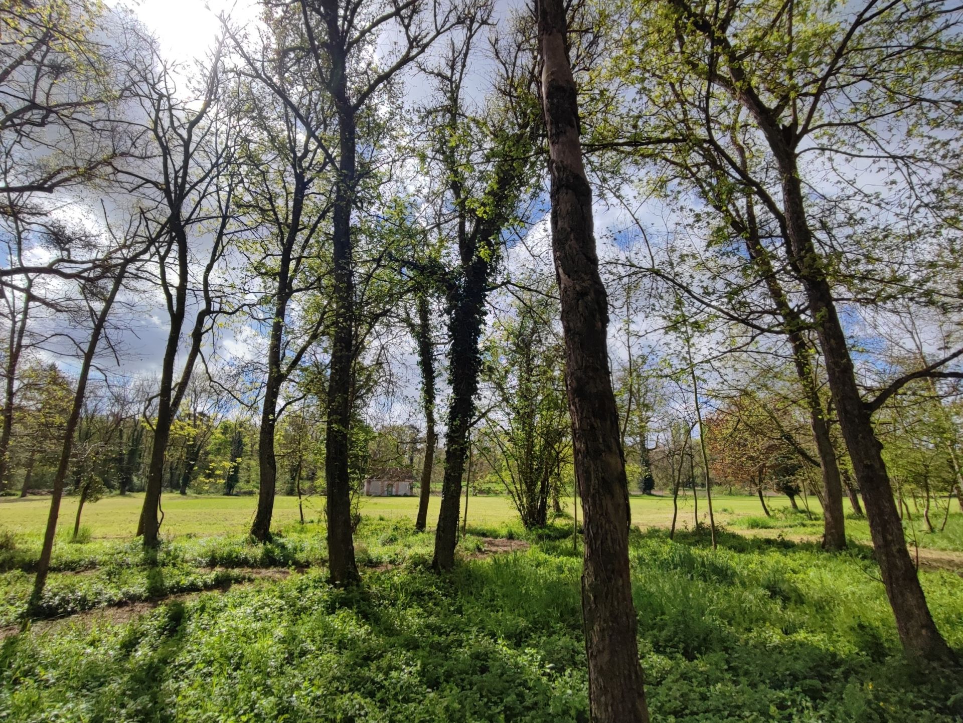 château 22 pièces en vente à ORLEANS (45000)