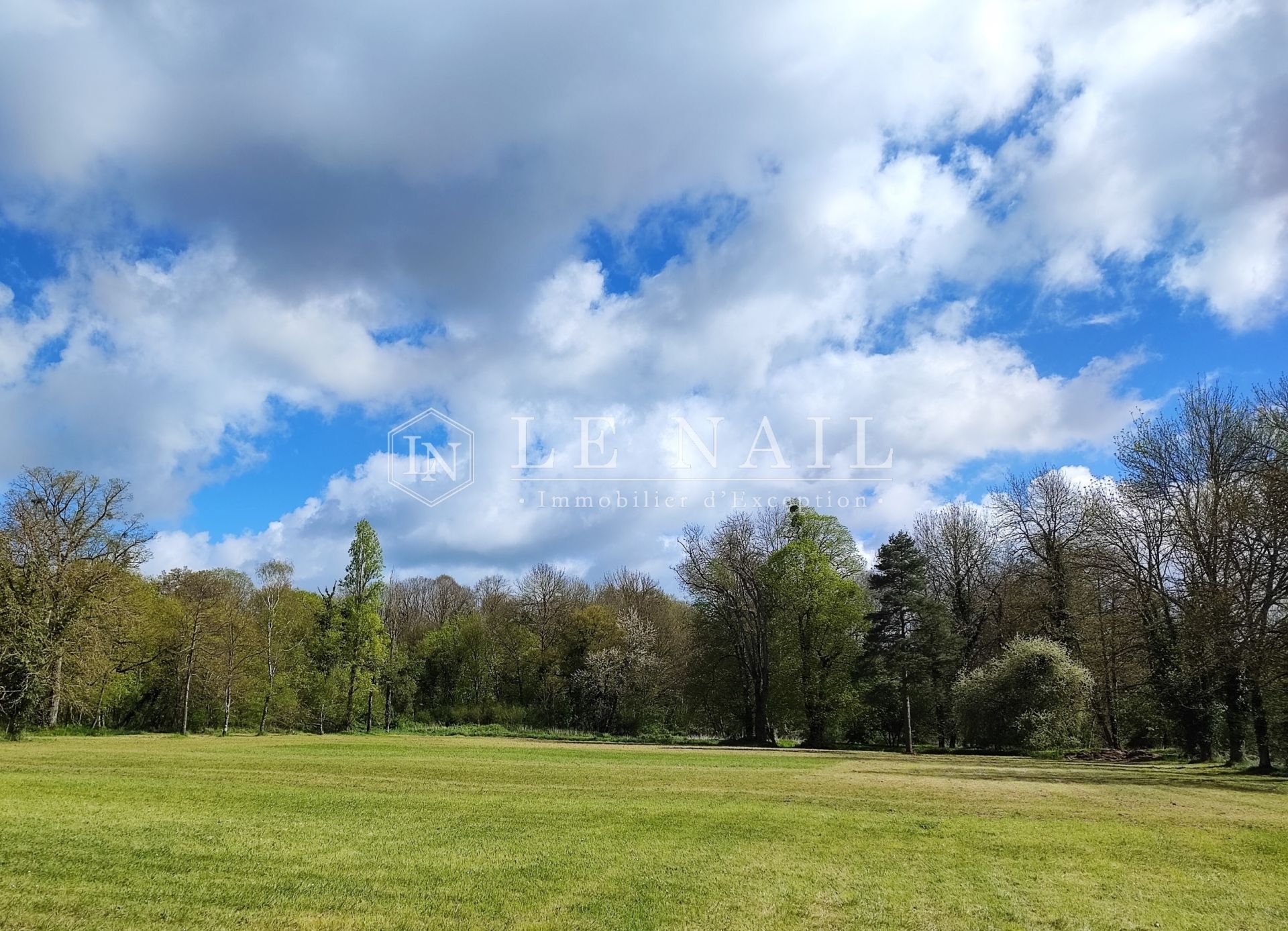 castle 22 rooms for sale on ORLEANS (45000)