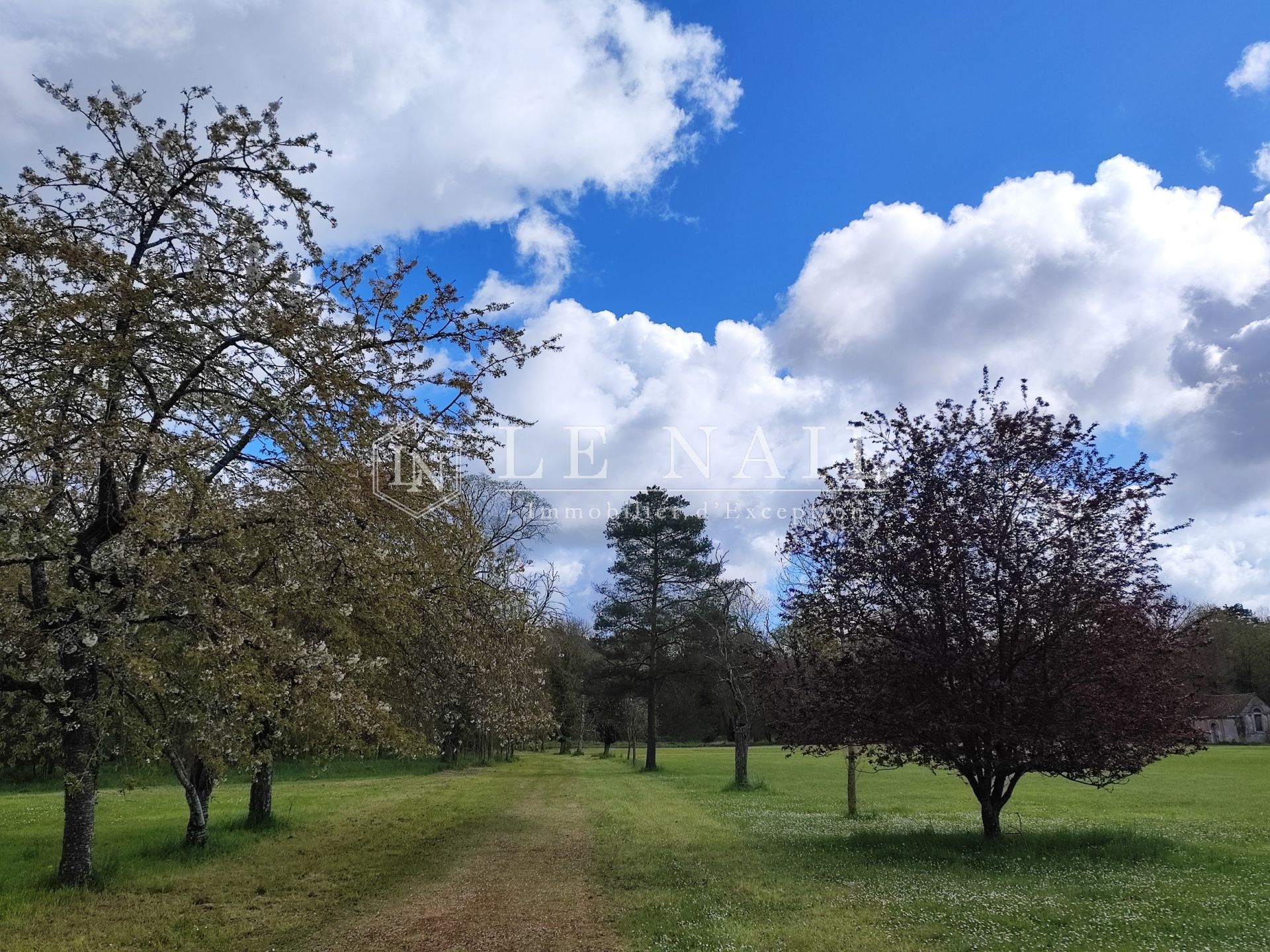 château 22 pièces en vente à ORLEANS (45000)