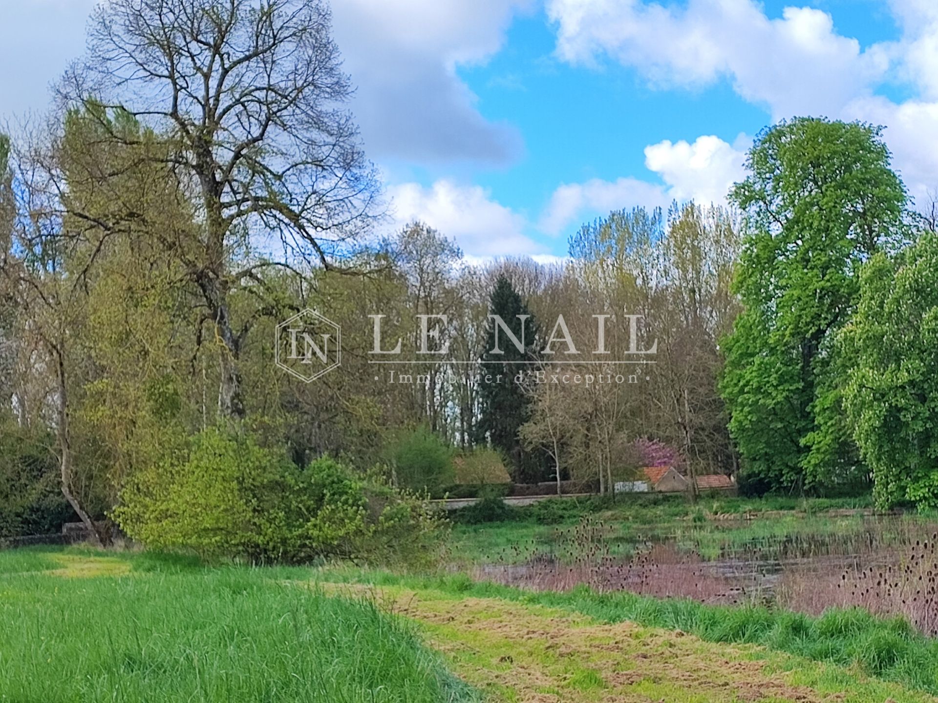 castle 22 rooms for sale on ORLEANS (45000)