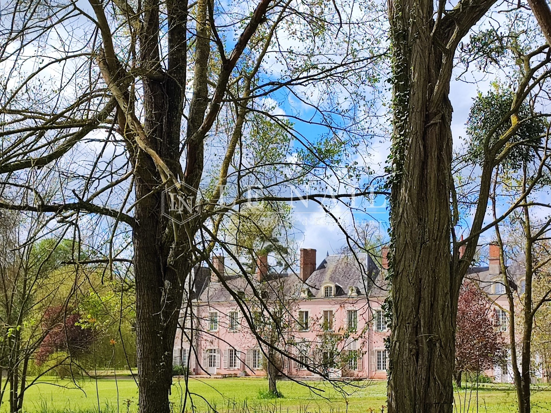 castle 22 rooms for sale on ORLEANS (45000)