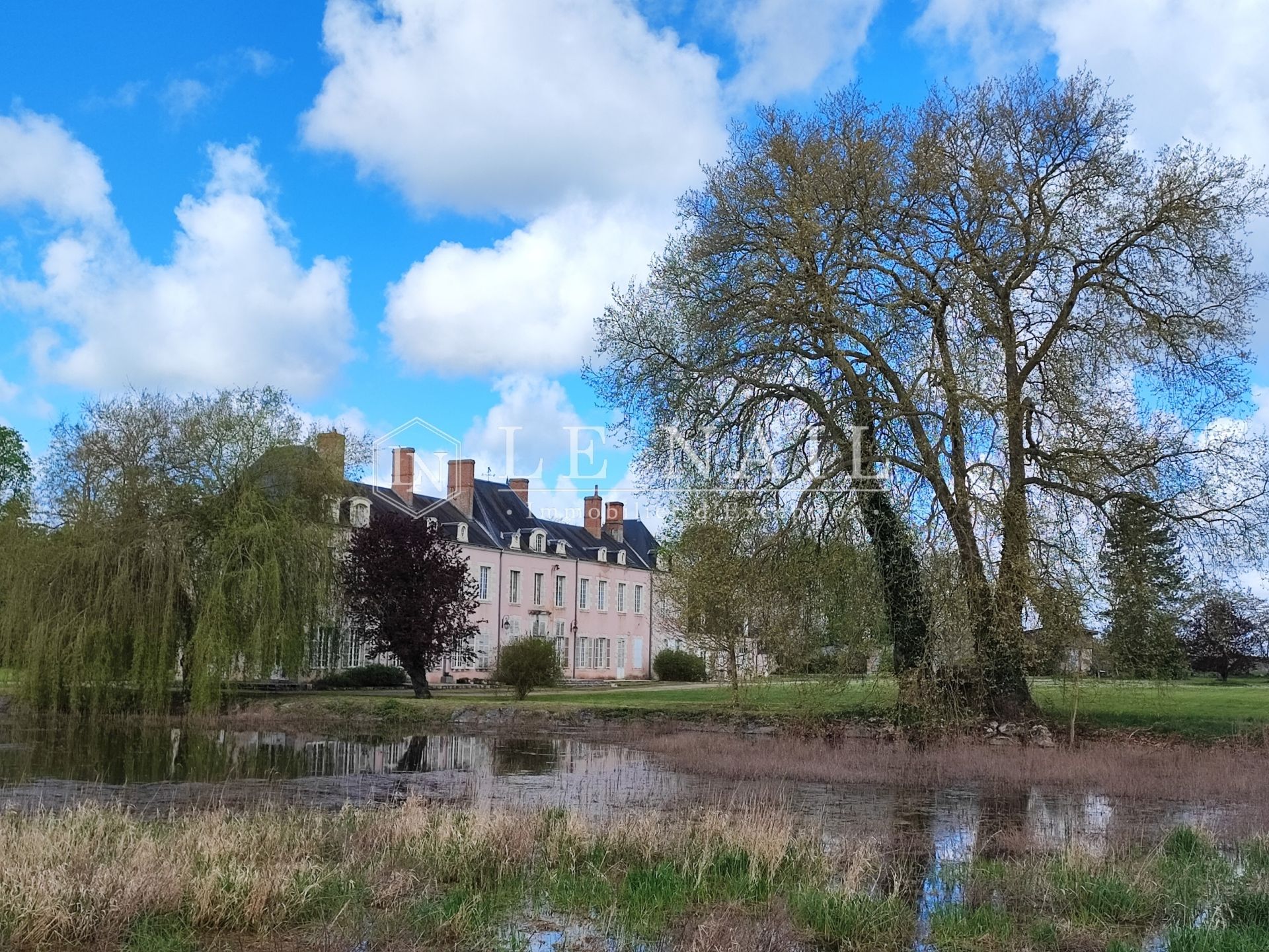 castle 22 rooms for sale on ORLEANS (45000)