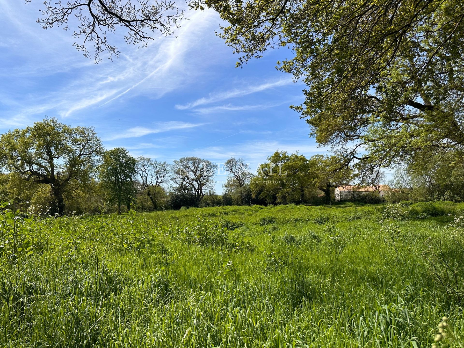 manoir 9 pièces en vente à ST MICHEL CHEF CHEF (44730)
