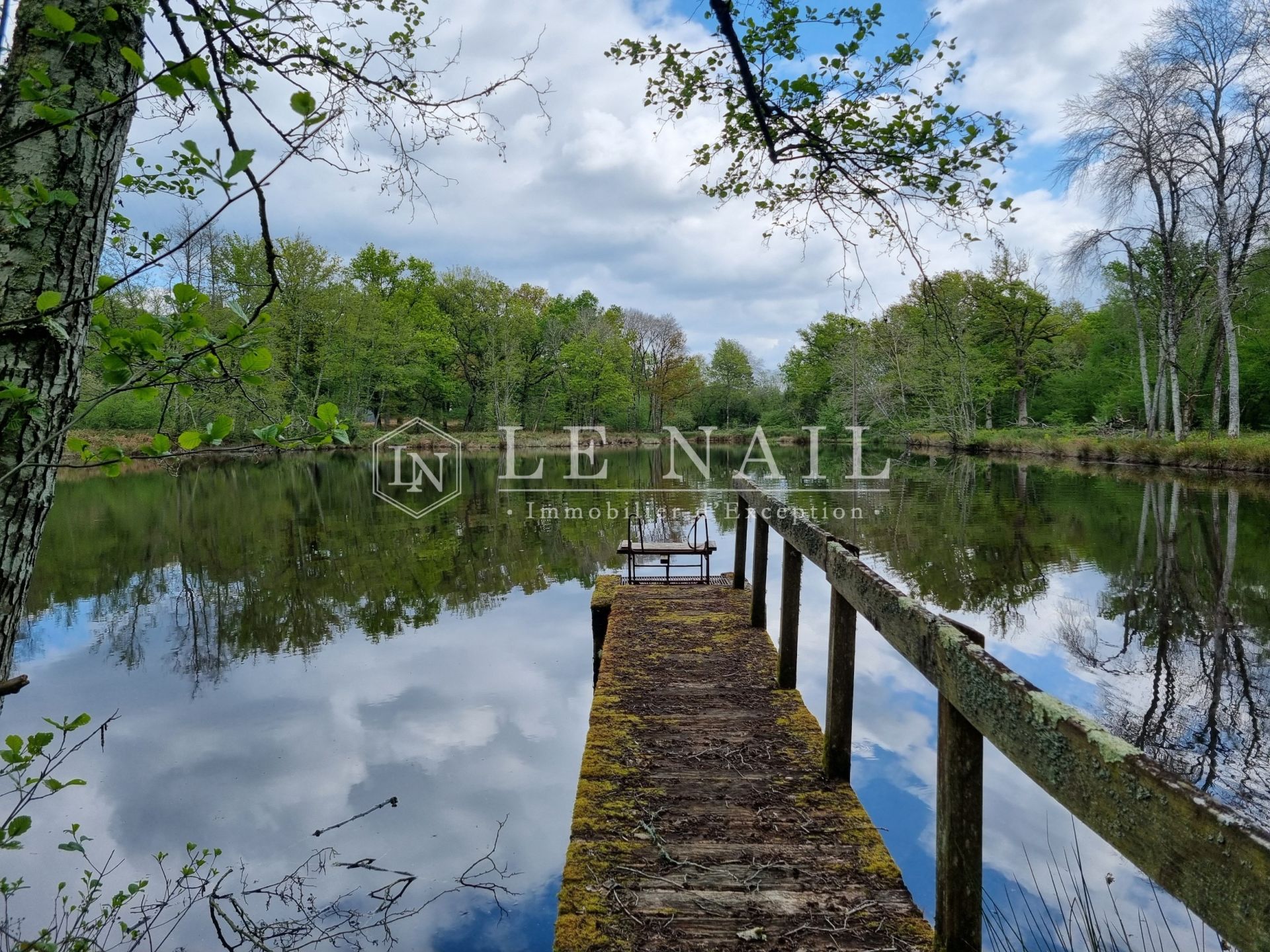 property 13 rooms for sale on CHAMBORD (41250)