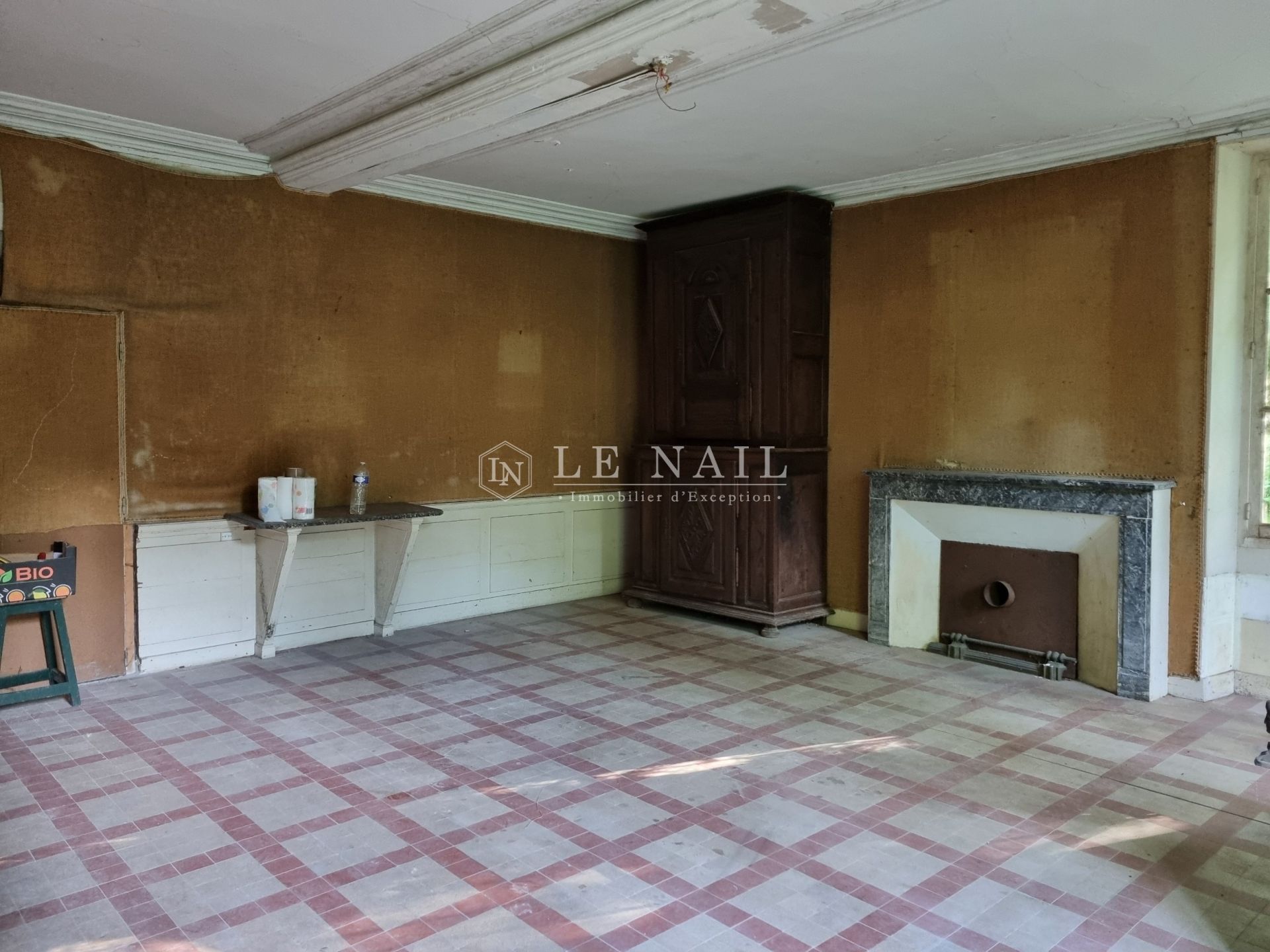 mansion 13 rooms for sale on ORLEANS (45000)