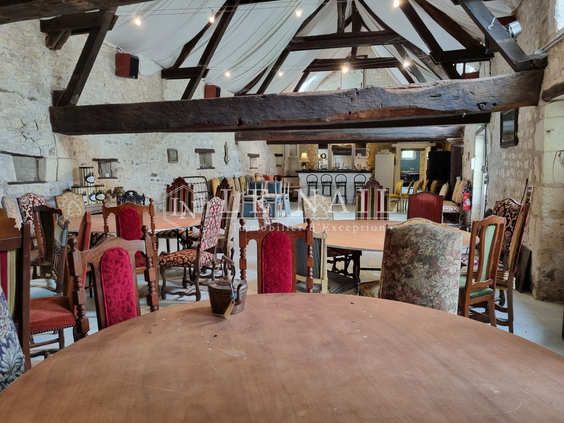 manor house 16 rooms for sale on LOCHES (37600)