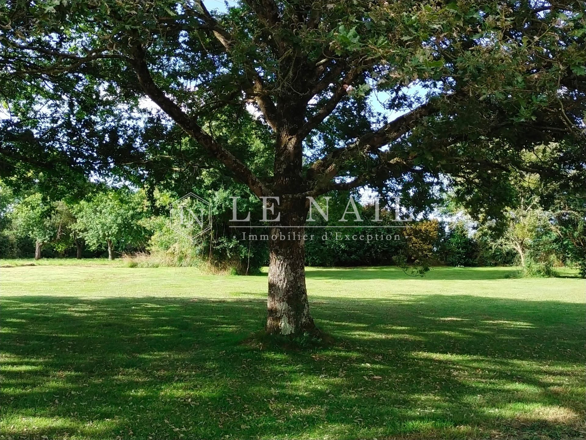 manor house 18 rooms for sale on CRAON (53400)