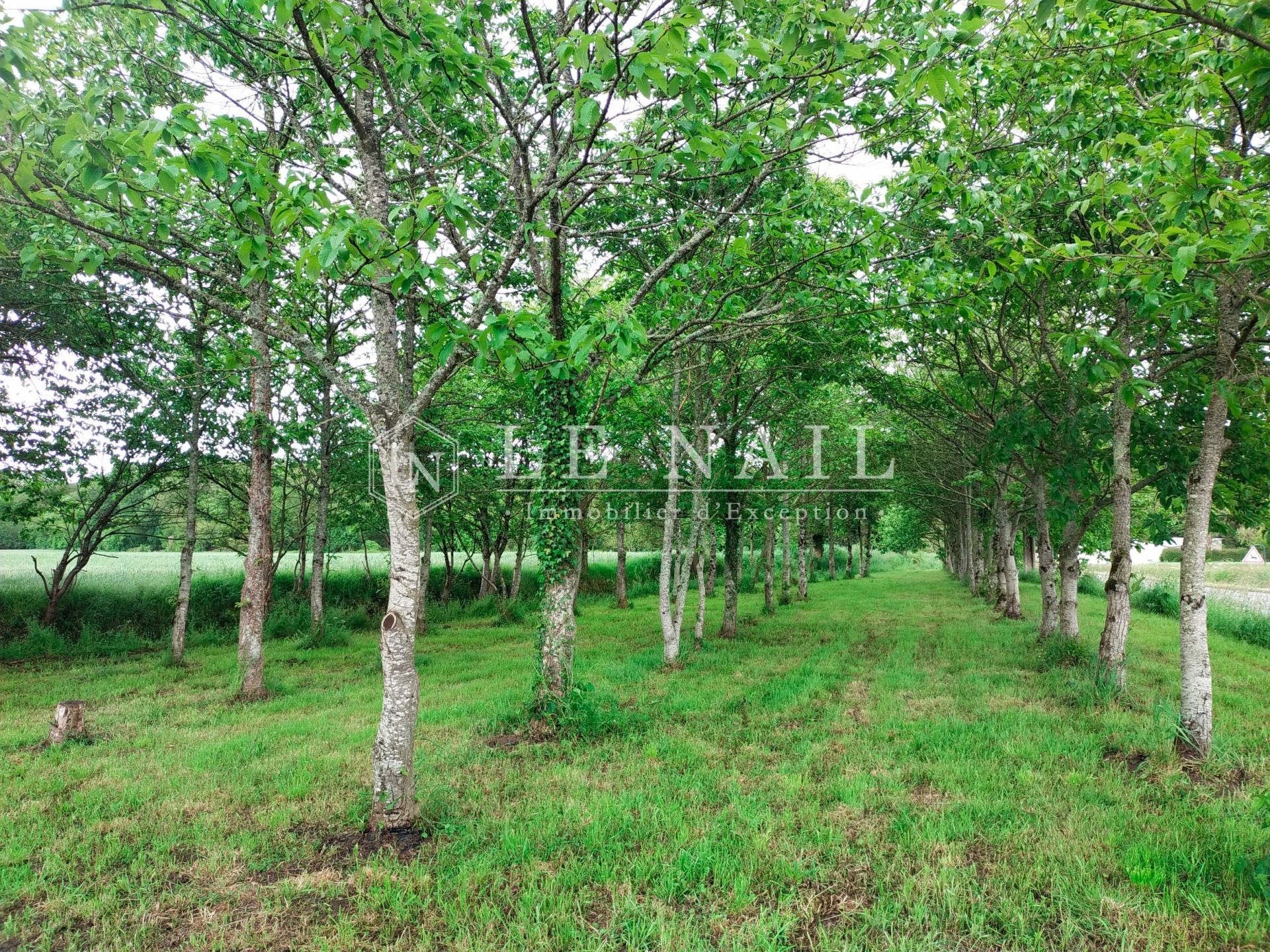 manoir 18 pièces en vente à CRAON (53400)