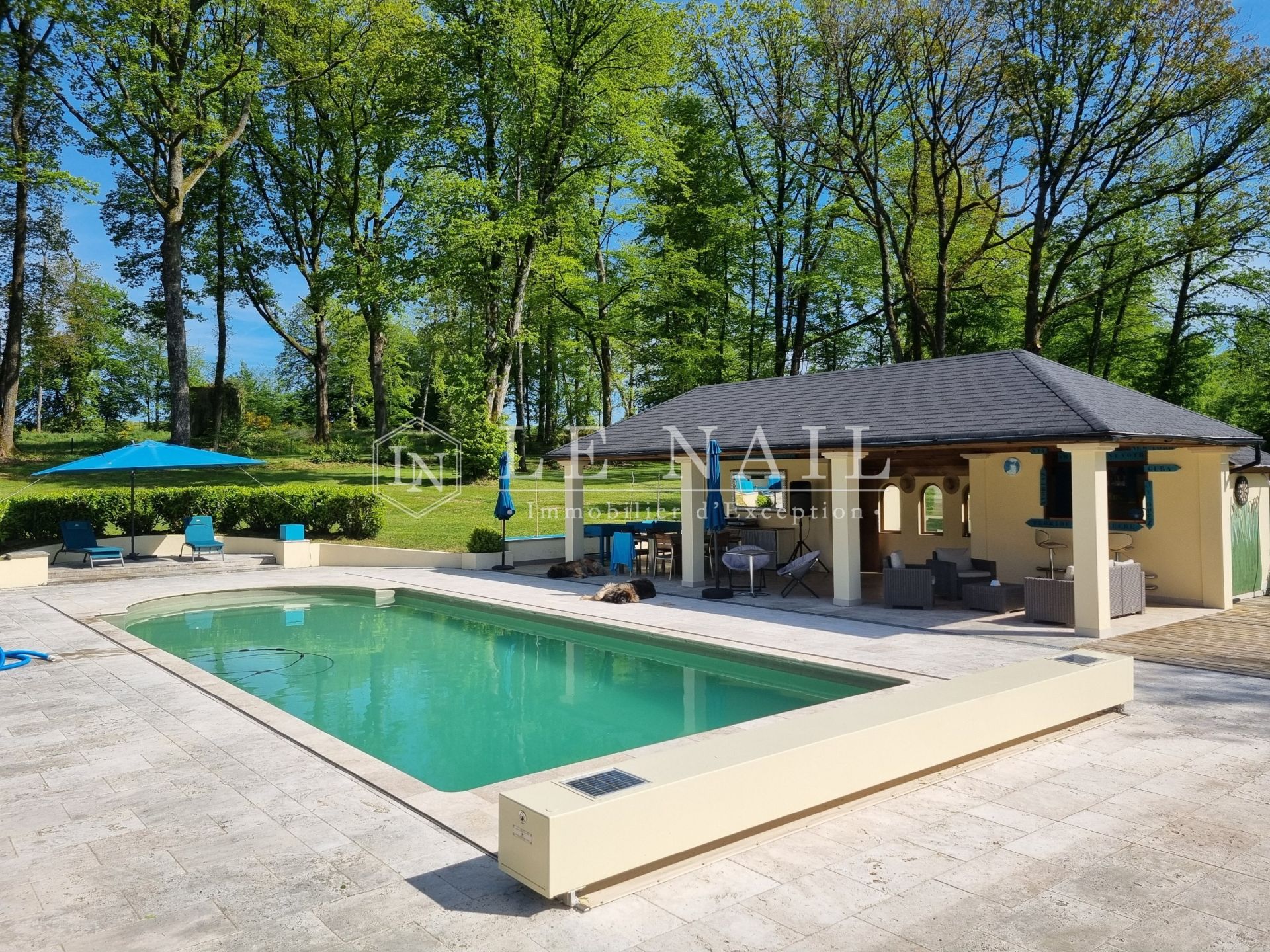 château 12 pièces en vente à AUBIGNY SUR NERE (18700)