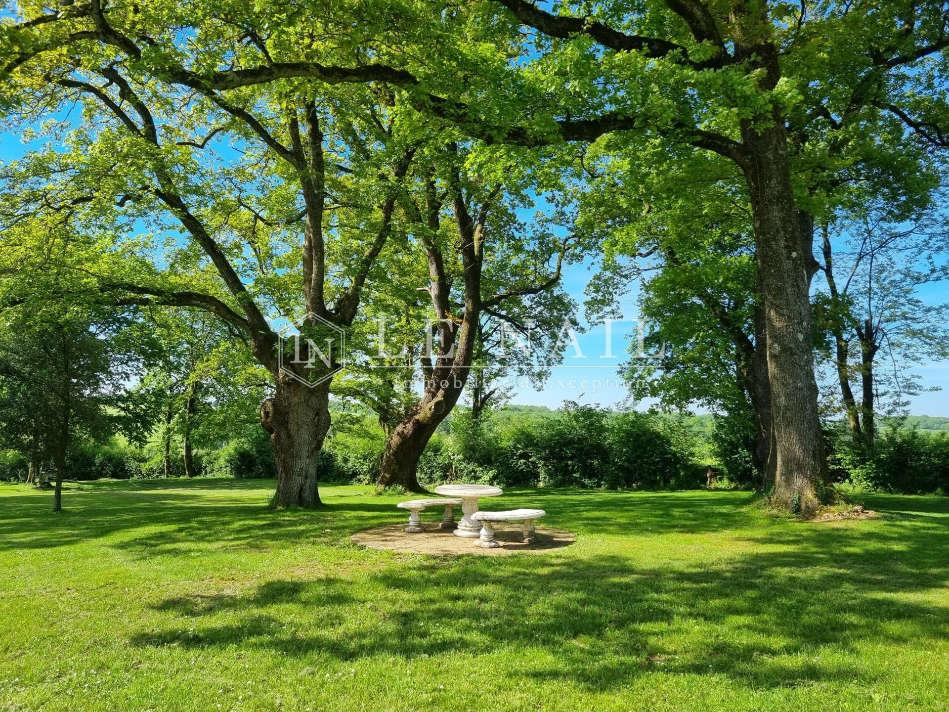 château 12 pièces en vente à AUBIGNY SUR NERE (18700)