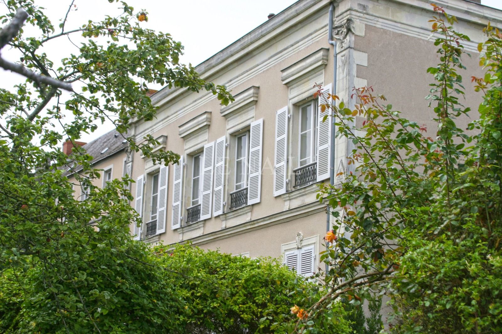 mansion (hôtel particulier) 15 rooms for sale on Chateau gontier (53200)