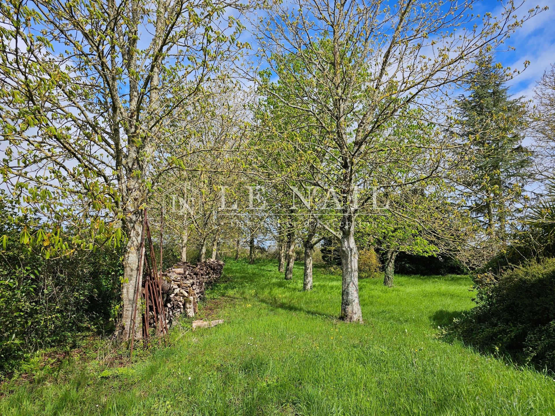 longère 9 pièces en vente à SAUMUR (49400)