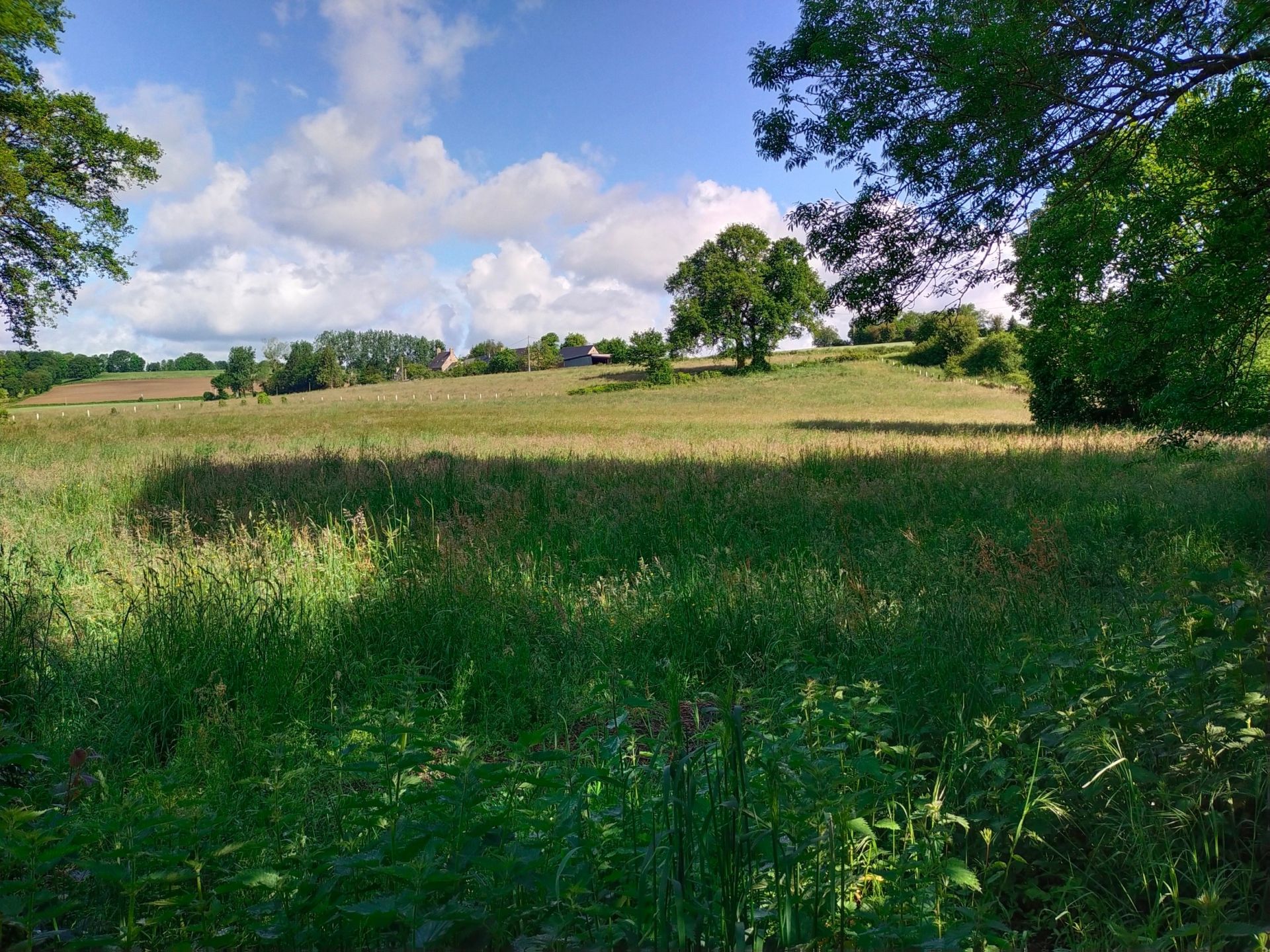 propriété 15 pièces en vente à MAYENNE (53100)