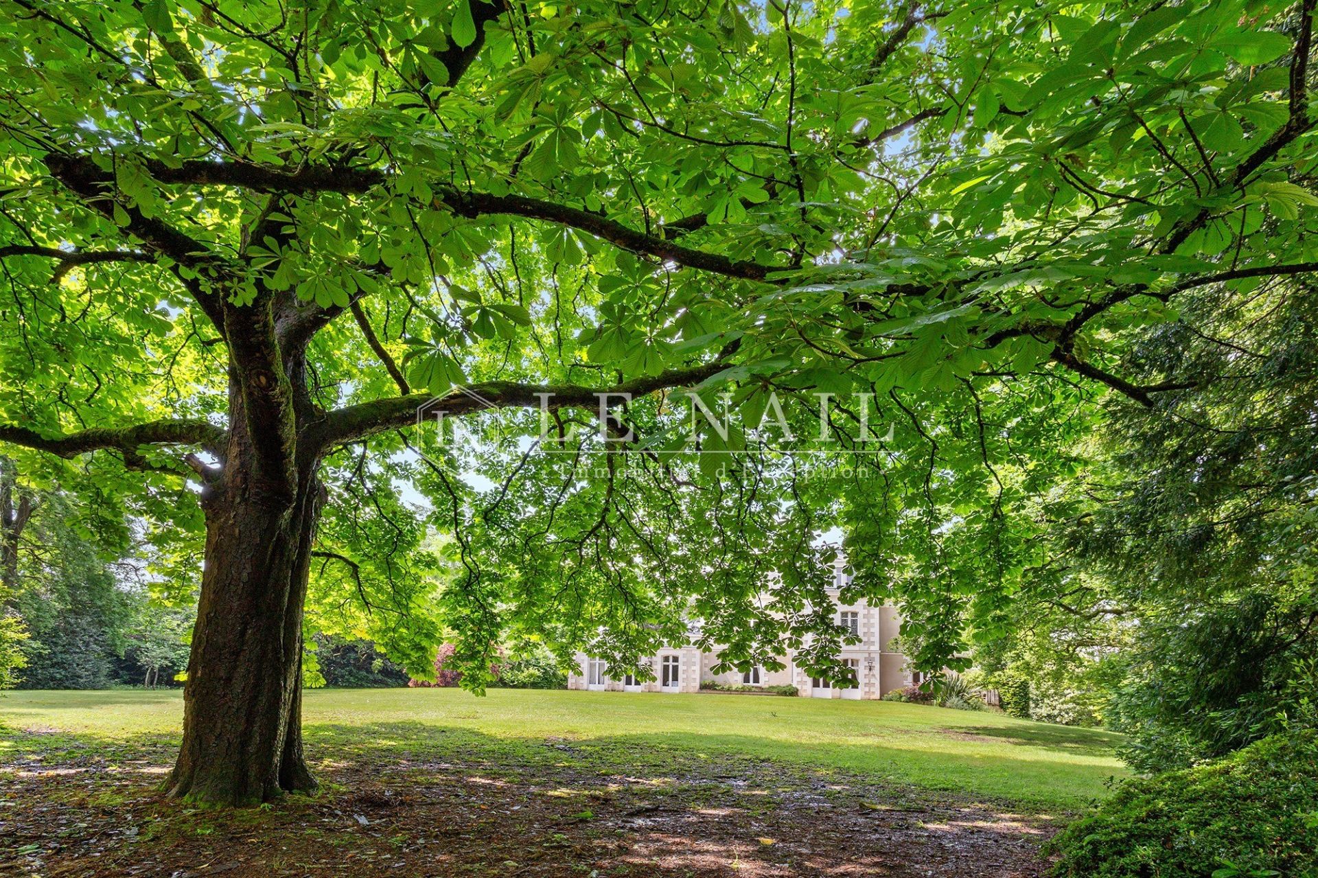 house 14 rooms for sale on LA CHAPELLE SUR ERDRE (44240)