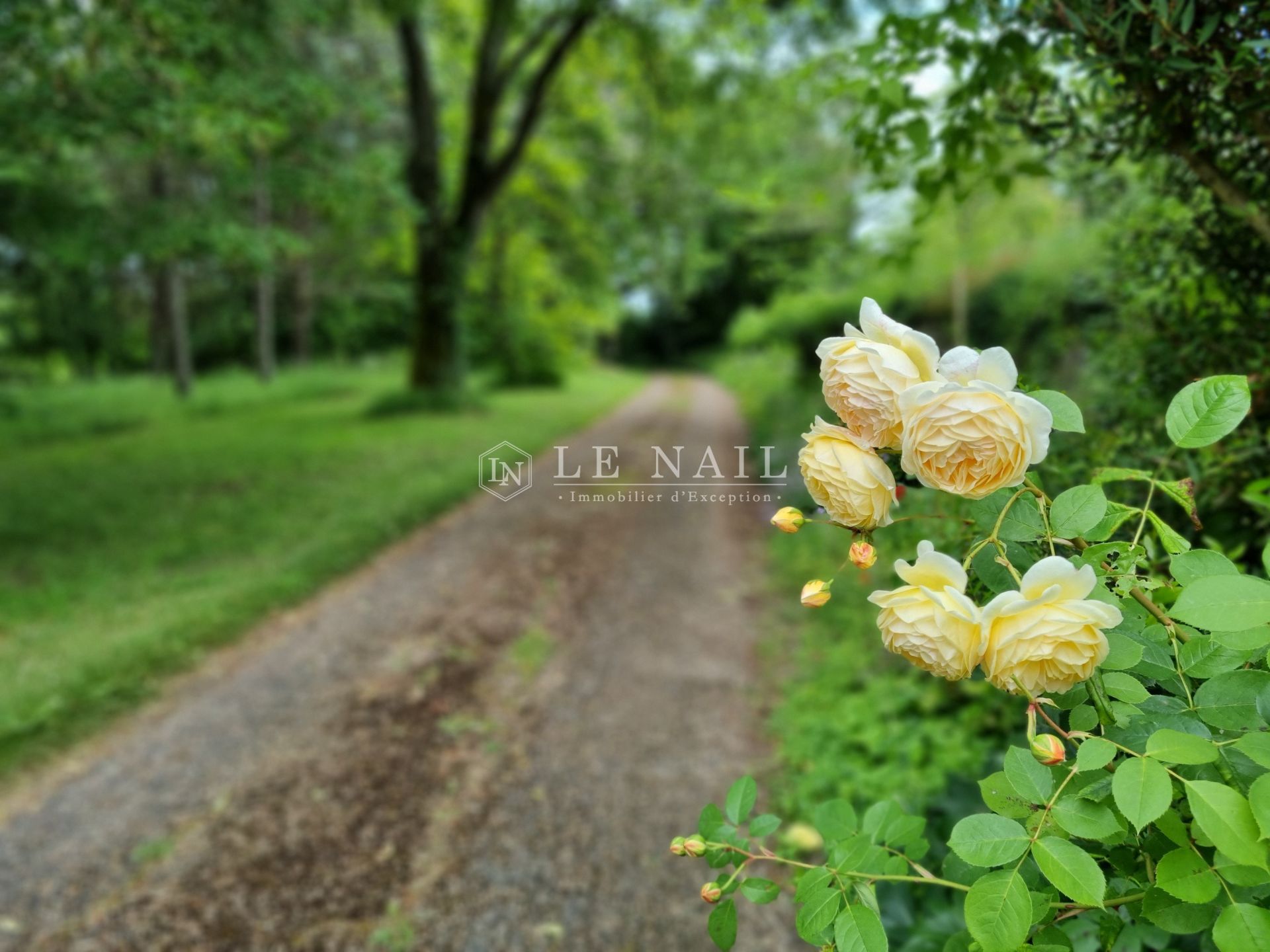 manoir 18 pièces en vente à AZAY LE RIDEAU (37190)
