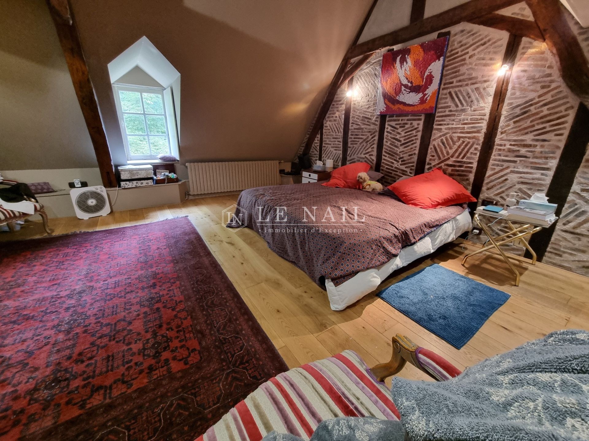 manor house 18 rooms for sale on AZAY LE RIDEAU (37190)