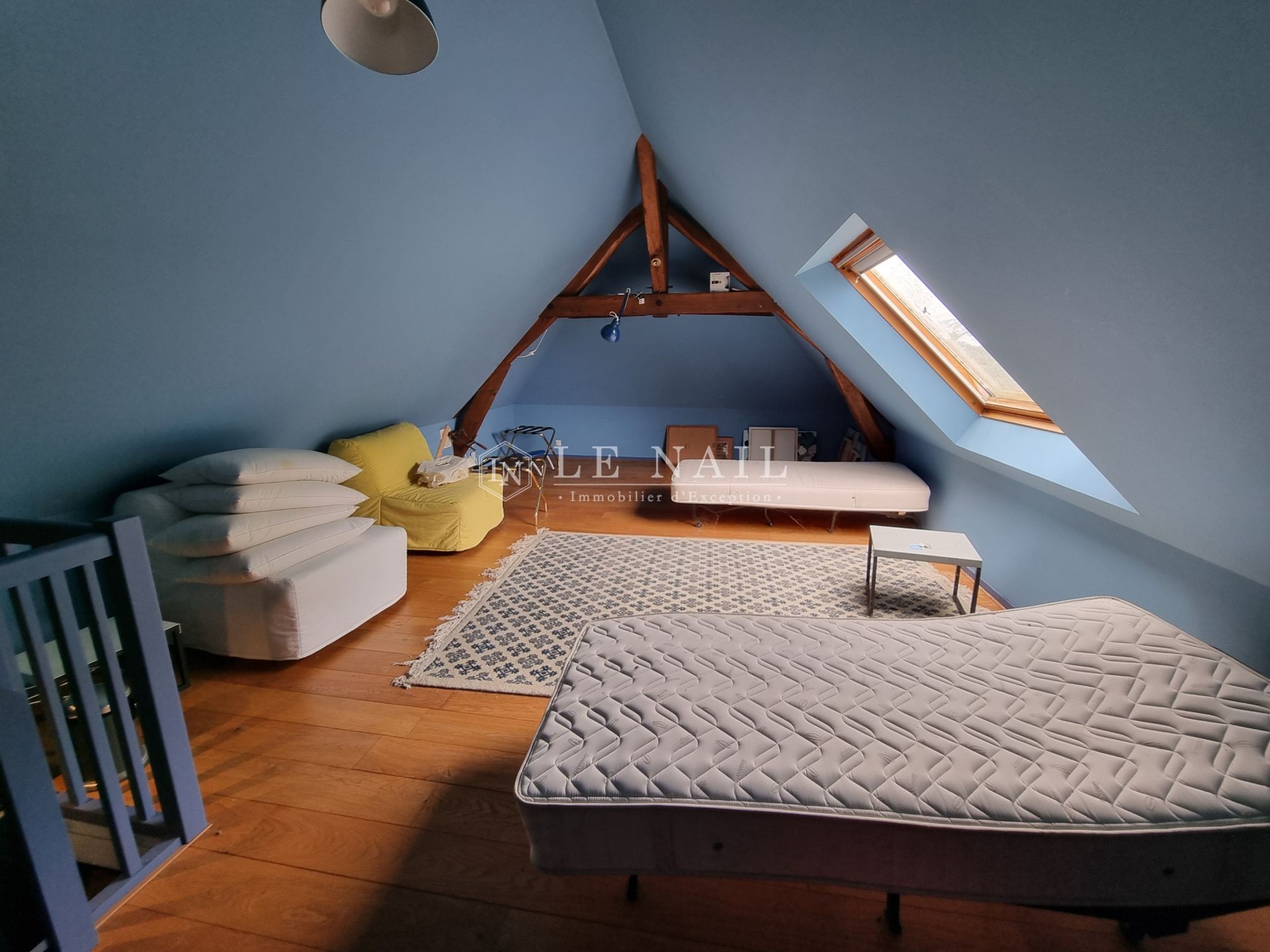 manor house 18 rooms for sale on AZAY LE RIDEAU (37190)