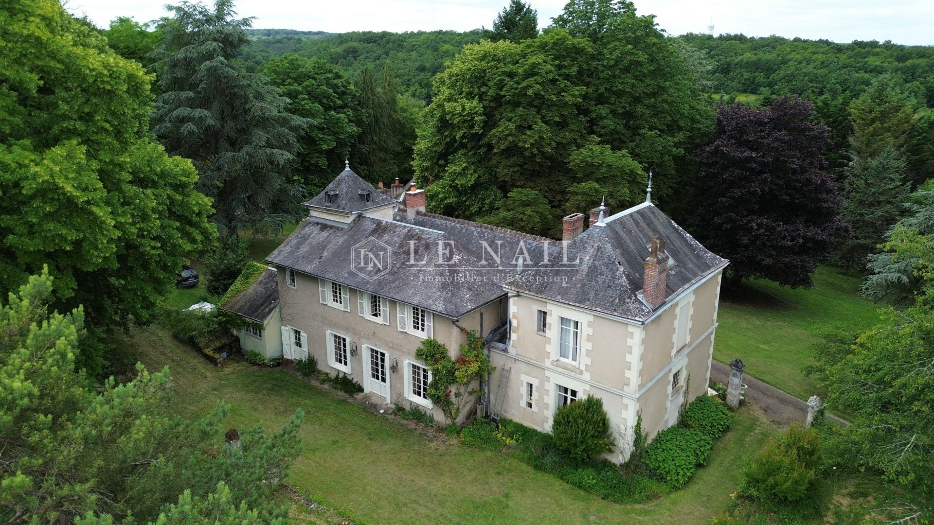 manor house 18 rooms for sale on AZAY LE RIDEAU (37190)