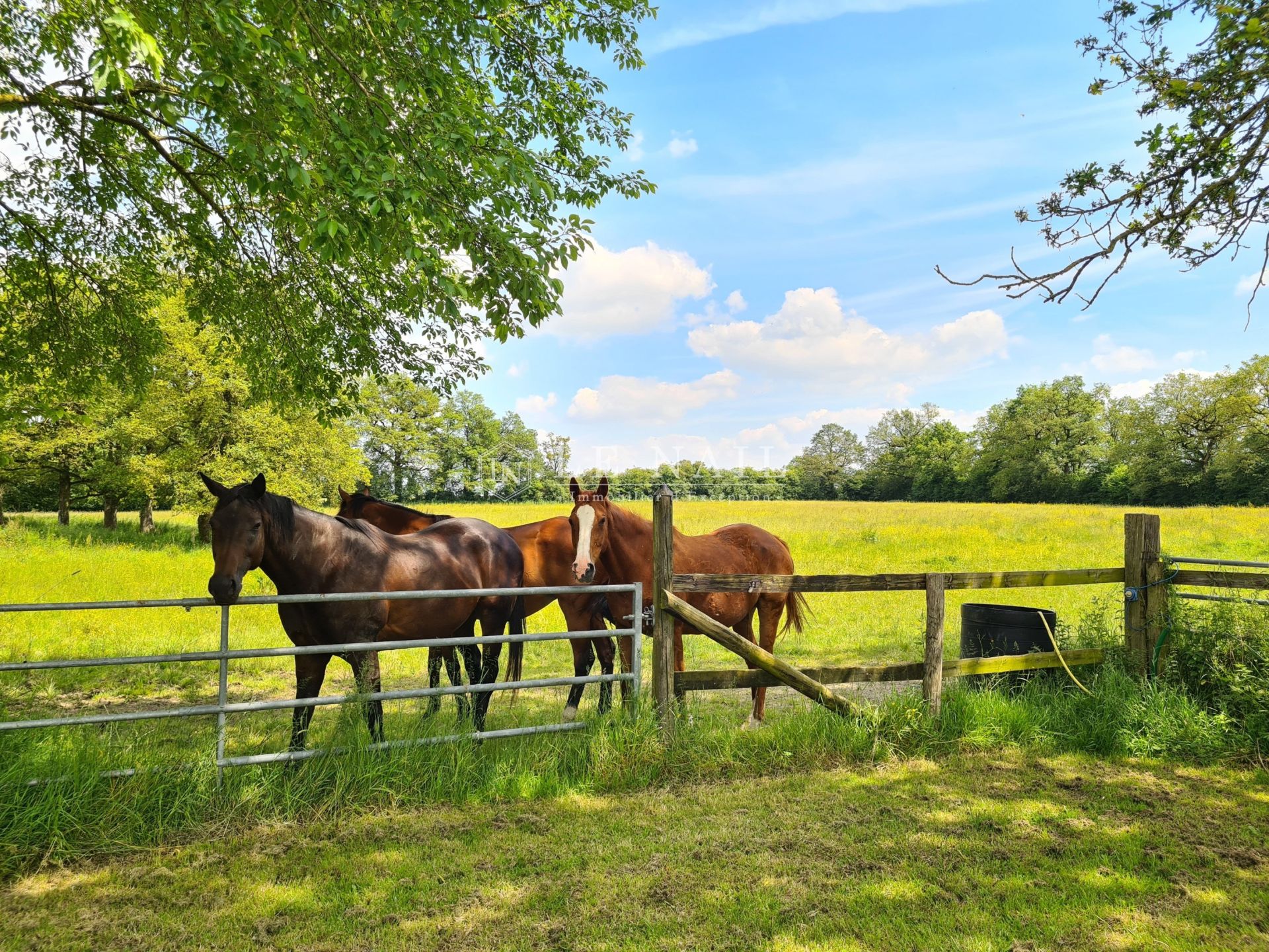 equestrian property 9 rooms for sale on EVRON (53600)