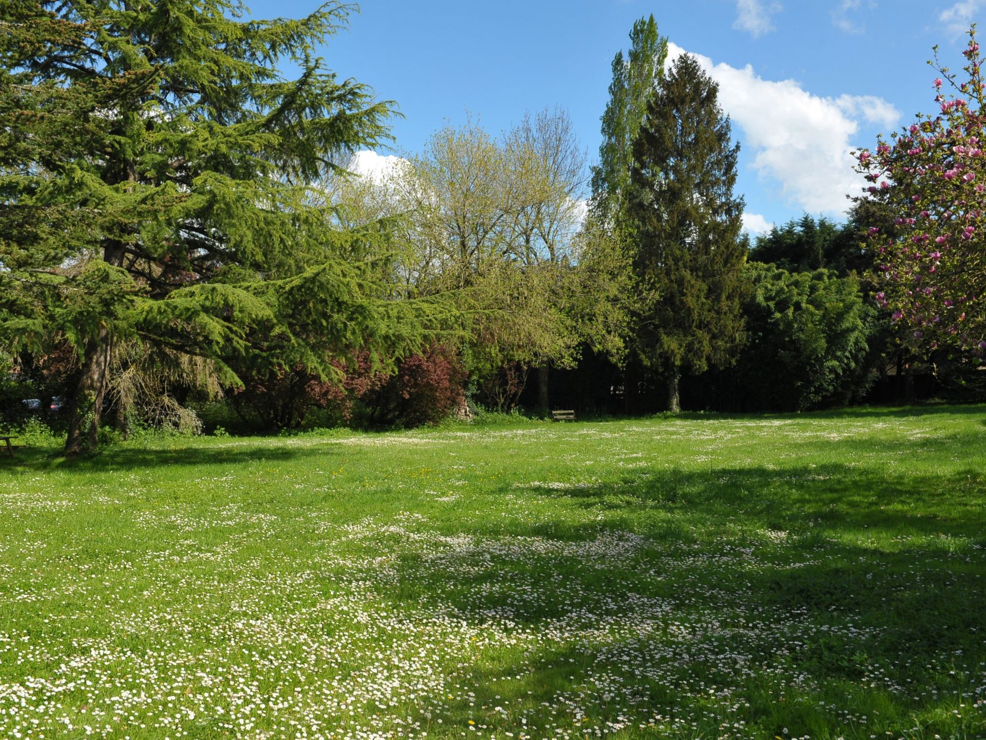 property 11 rooms for sale on CHANTONNAY (85110)