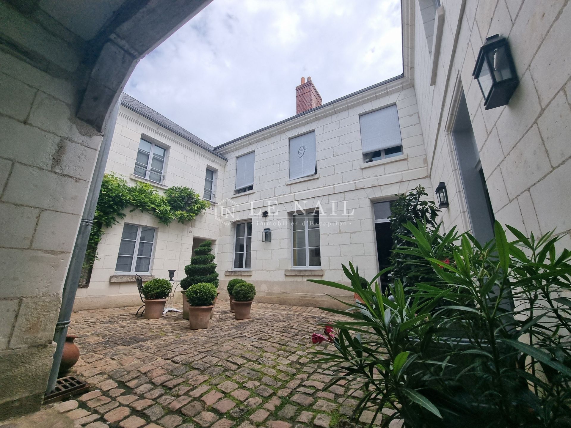 mansion (hôtel particulier) 11 rooms for sale on LOCHES (37600)