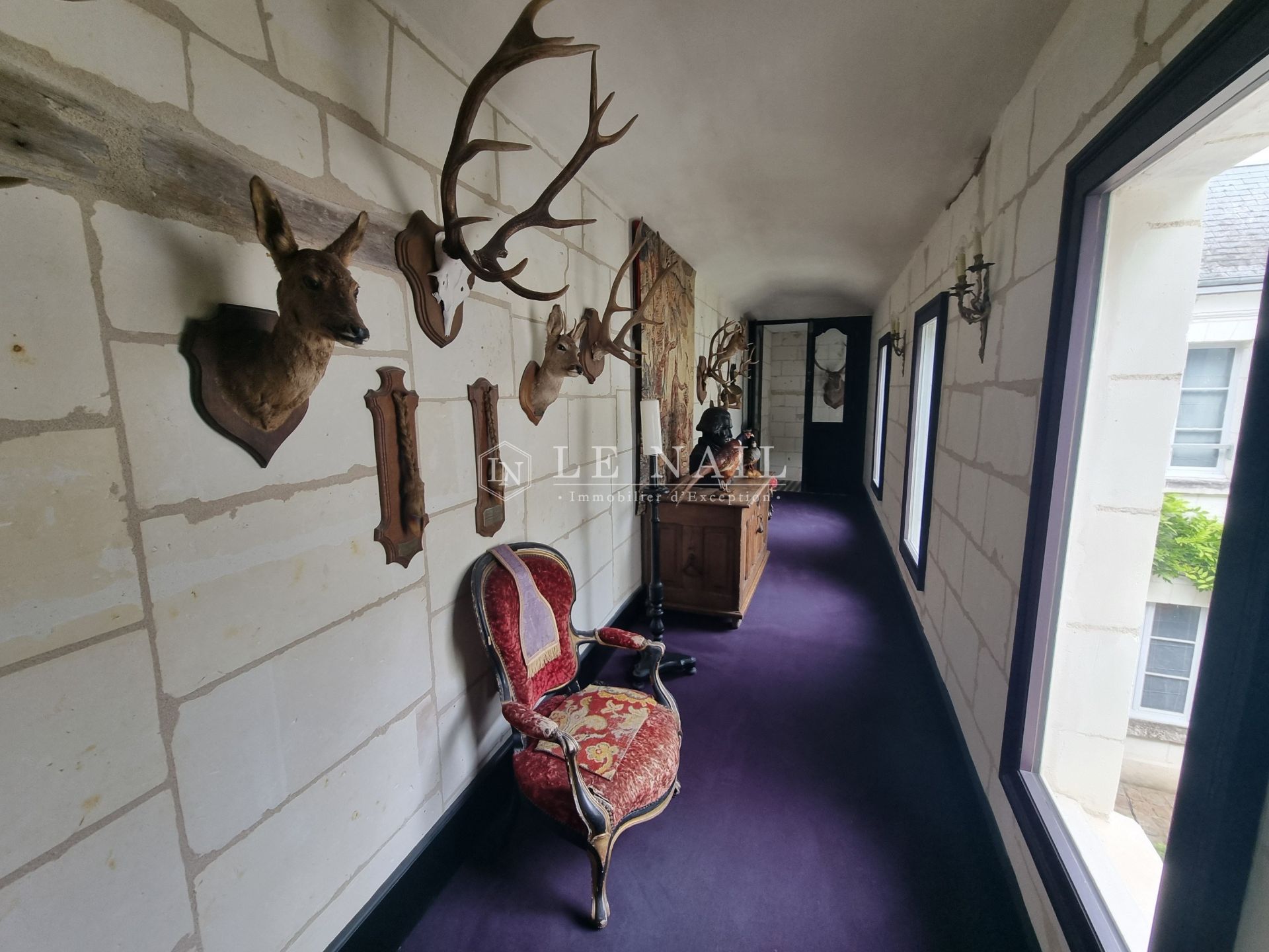 mansion (hôtel particulier) 11 rooms for sale on LOCHES (37600)