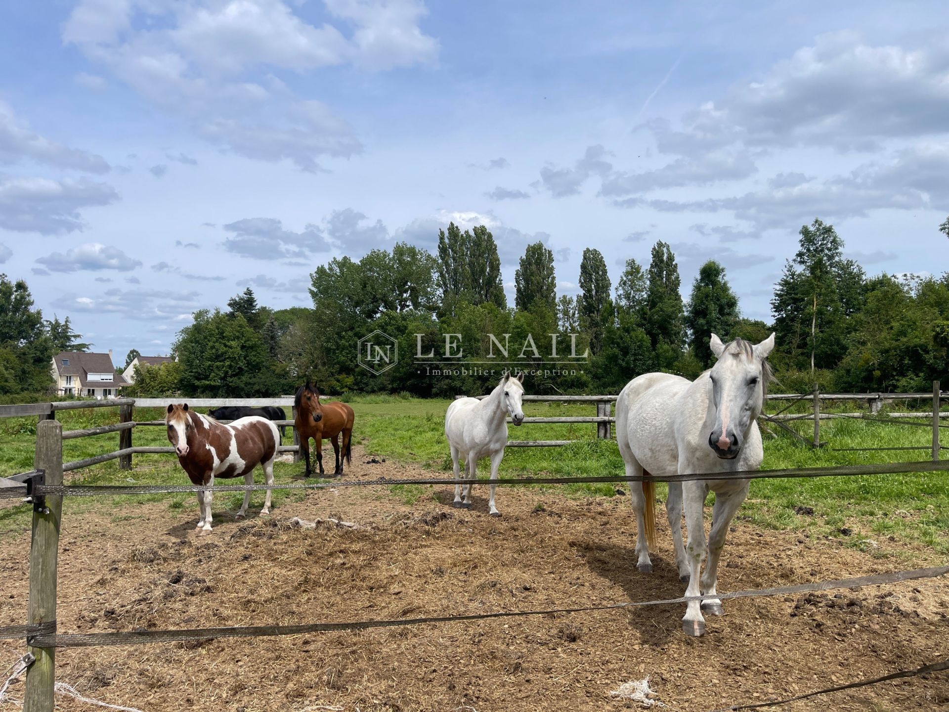 property 30 rooms for sale on BREUILLET (91650)