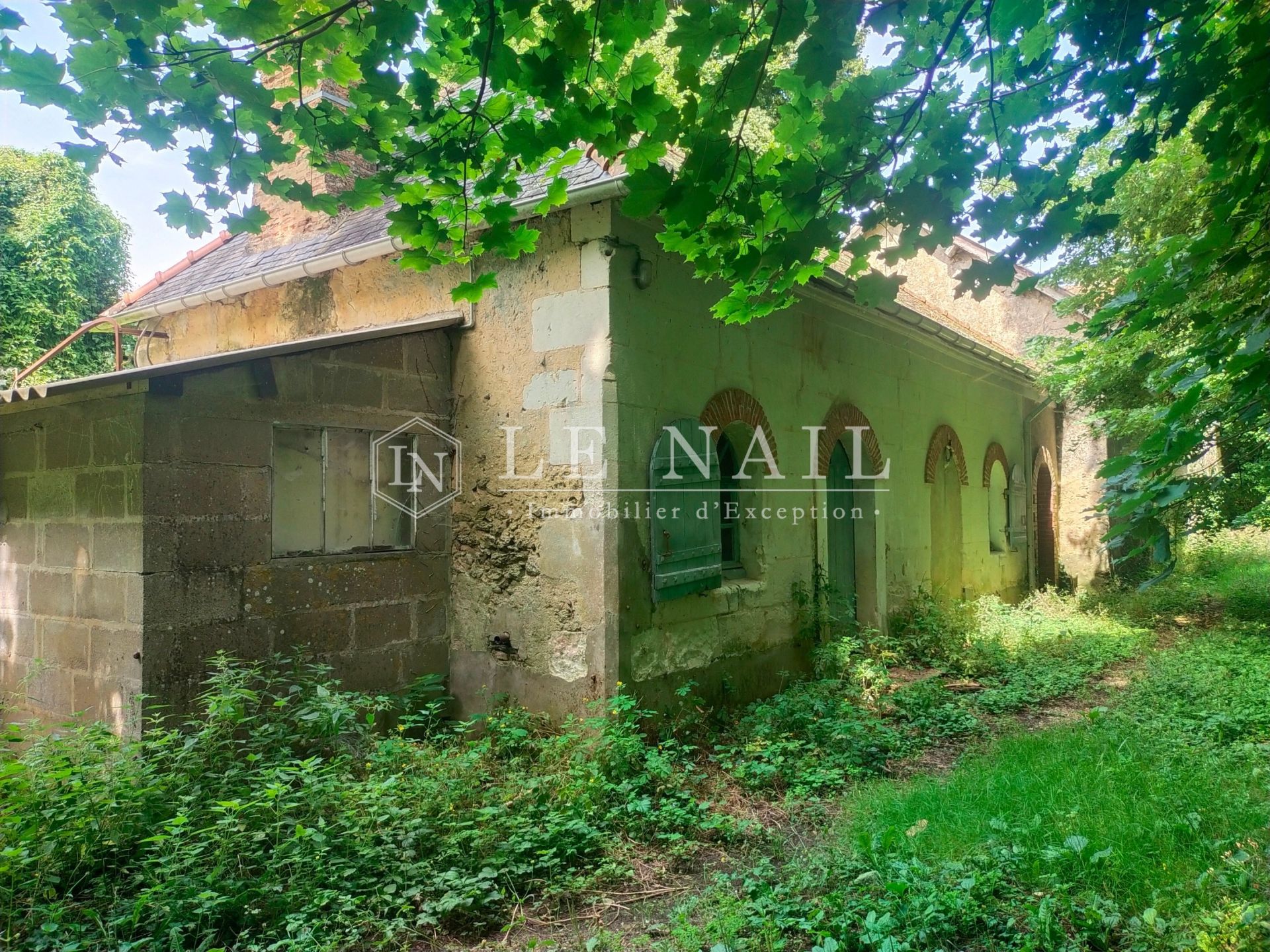 castle 12 rooms for sale on ANGERS (49000)