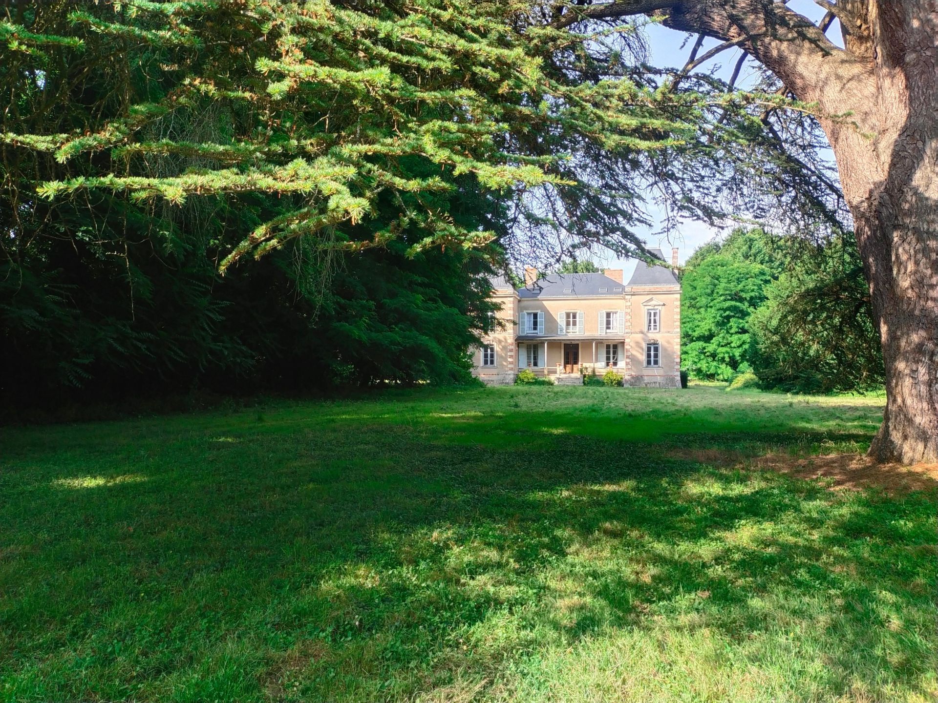castle 12 rooms for sale on ANGERS (49000)