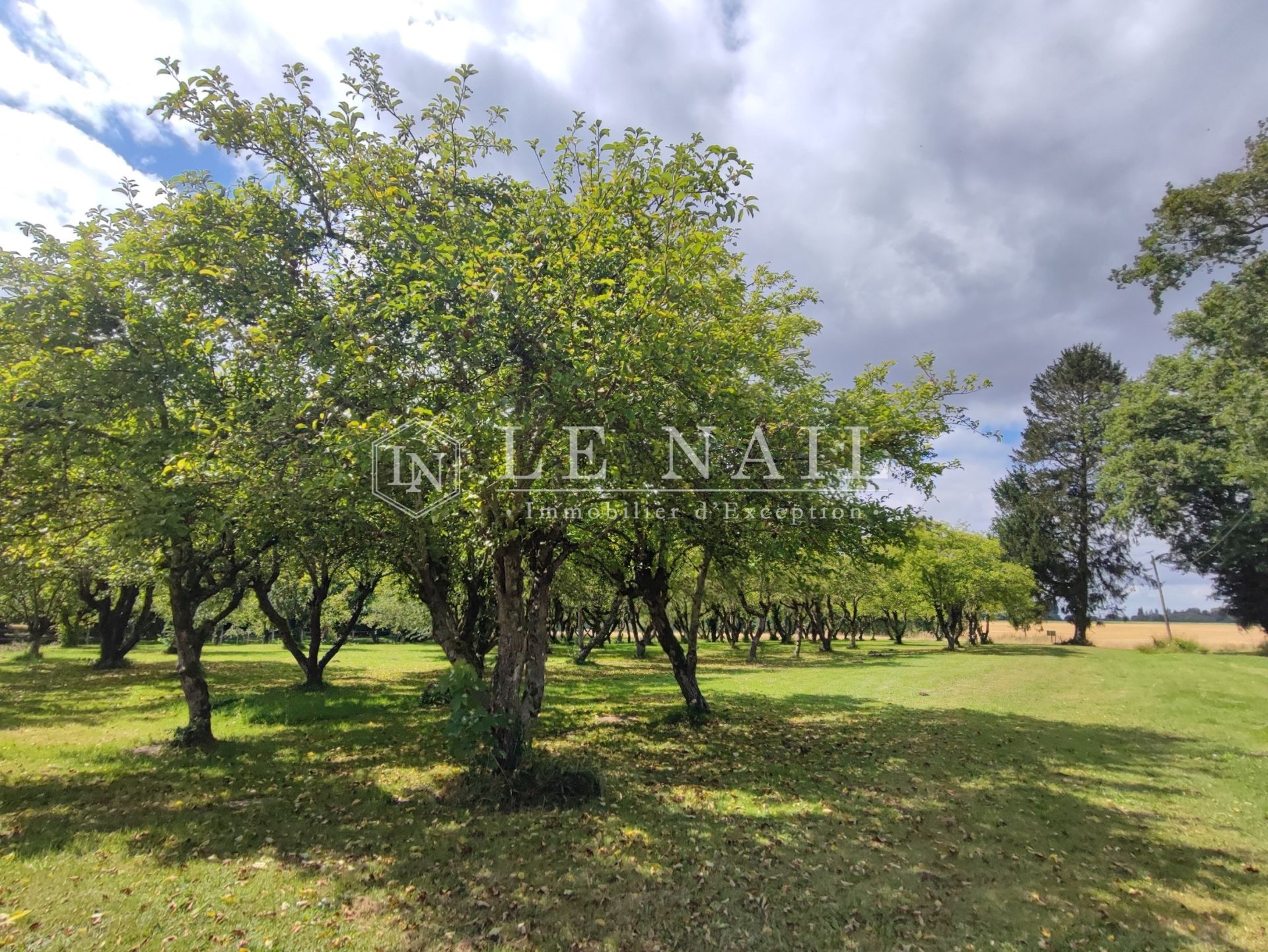 manor house 16 rooms for sale on NOGENT LE ROTROU (28400)