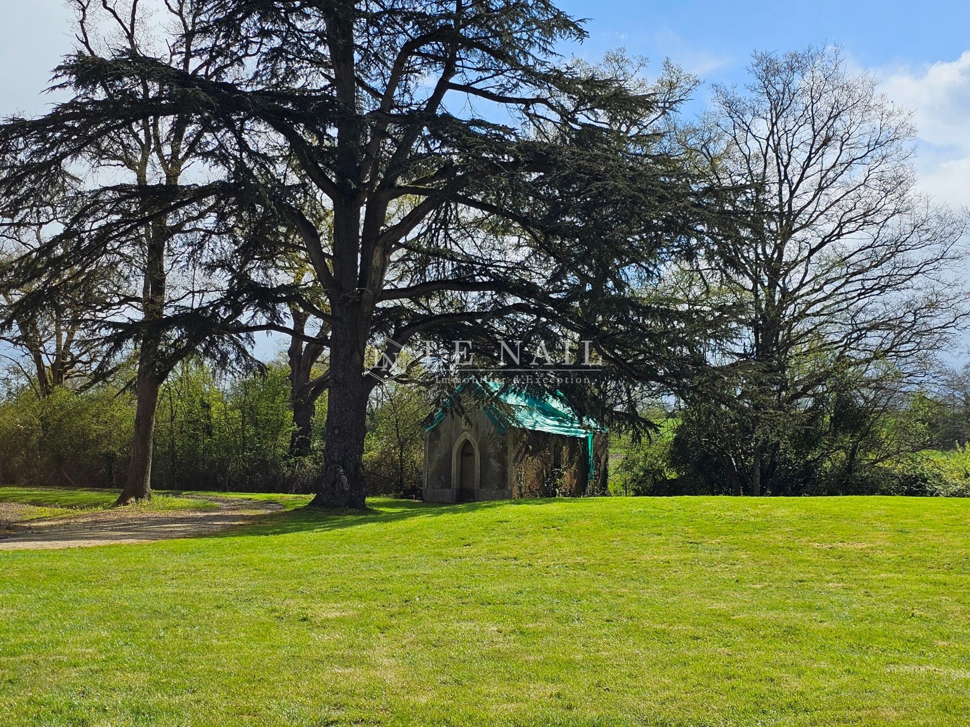 castle 14 rooms for sale on ANGERS (49100)