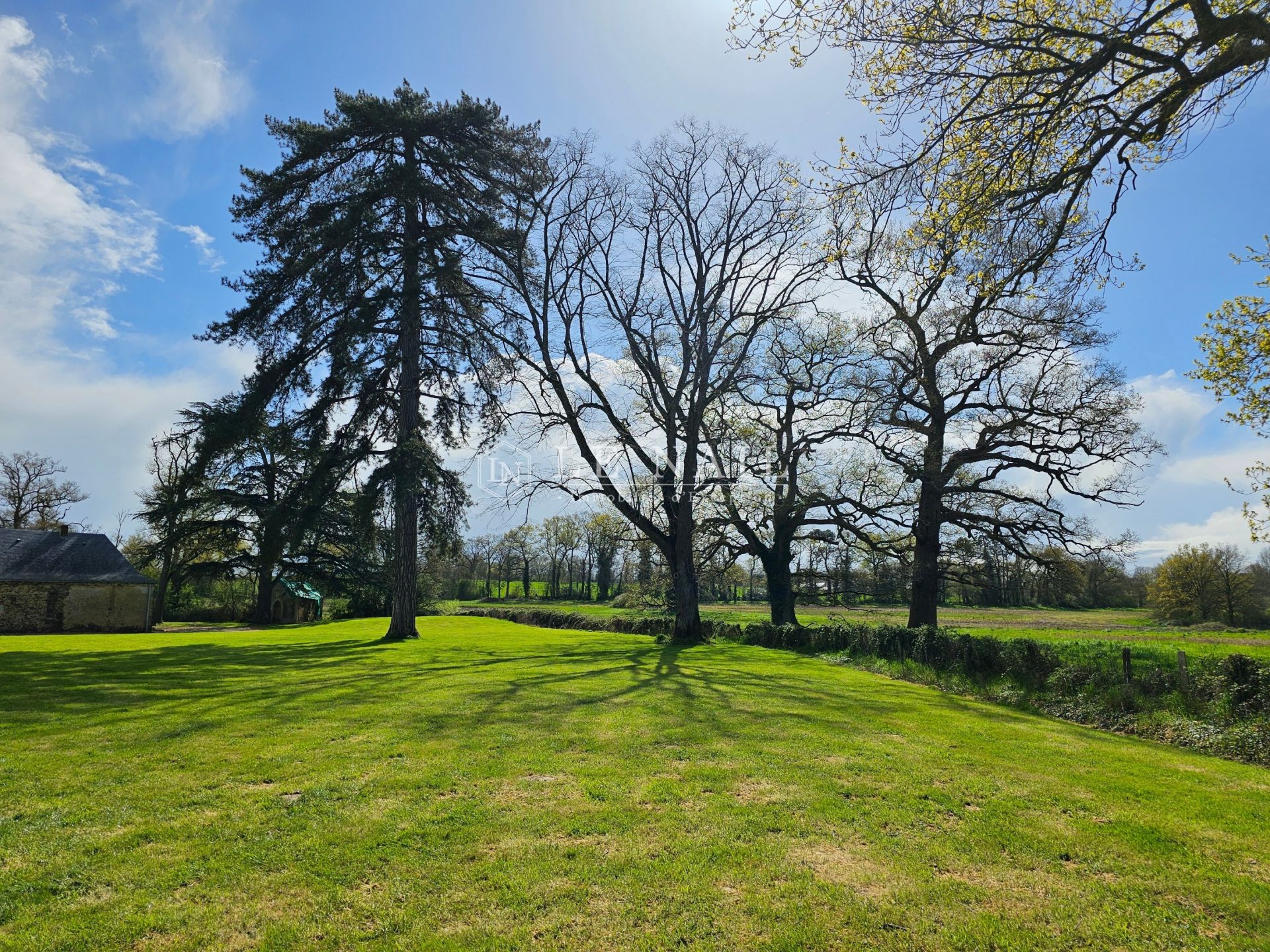 castle 14 rooms for sale on ANGERS (49100)