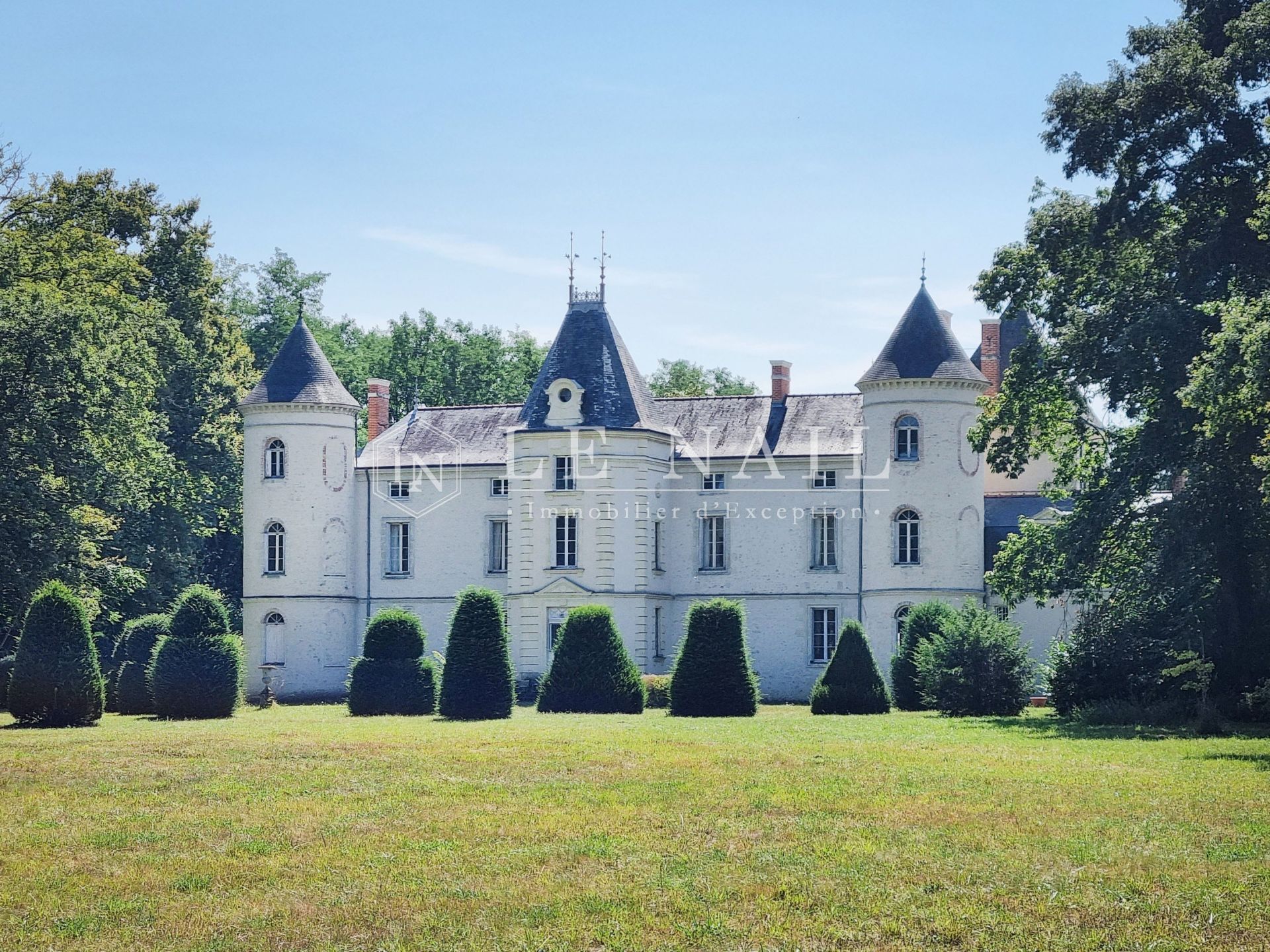 castle 35 rooms for sale on TOURS (37000)