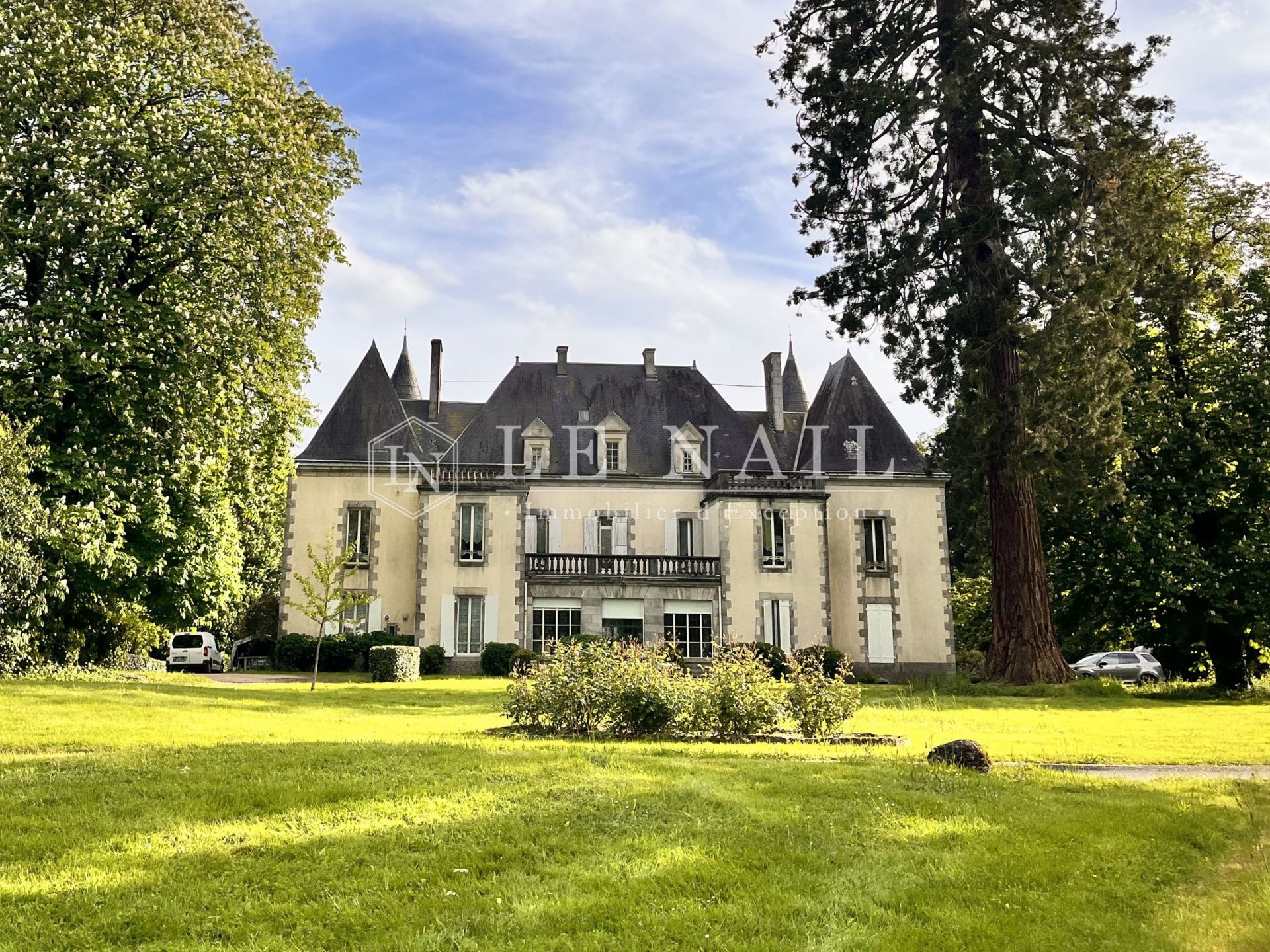 castle 15 rooms for sale on LA ROCHE SUR YON (85000)