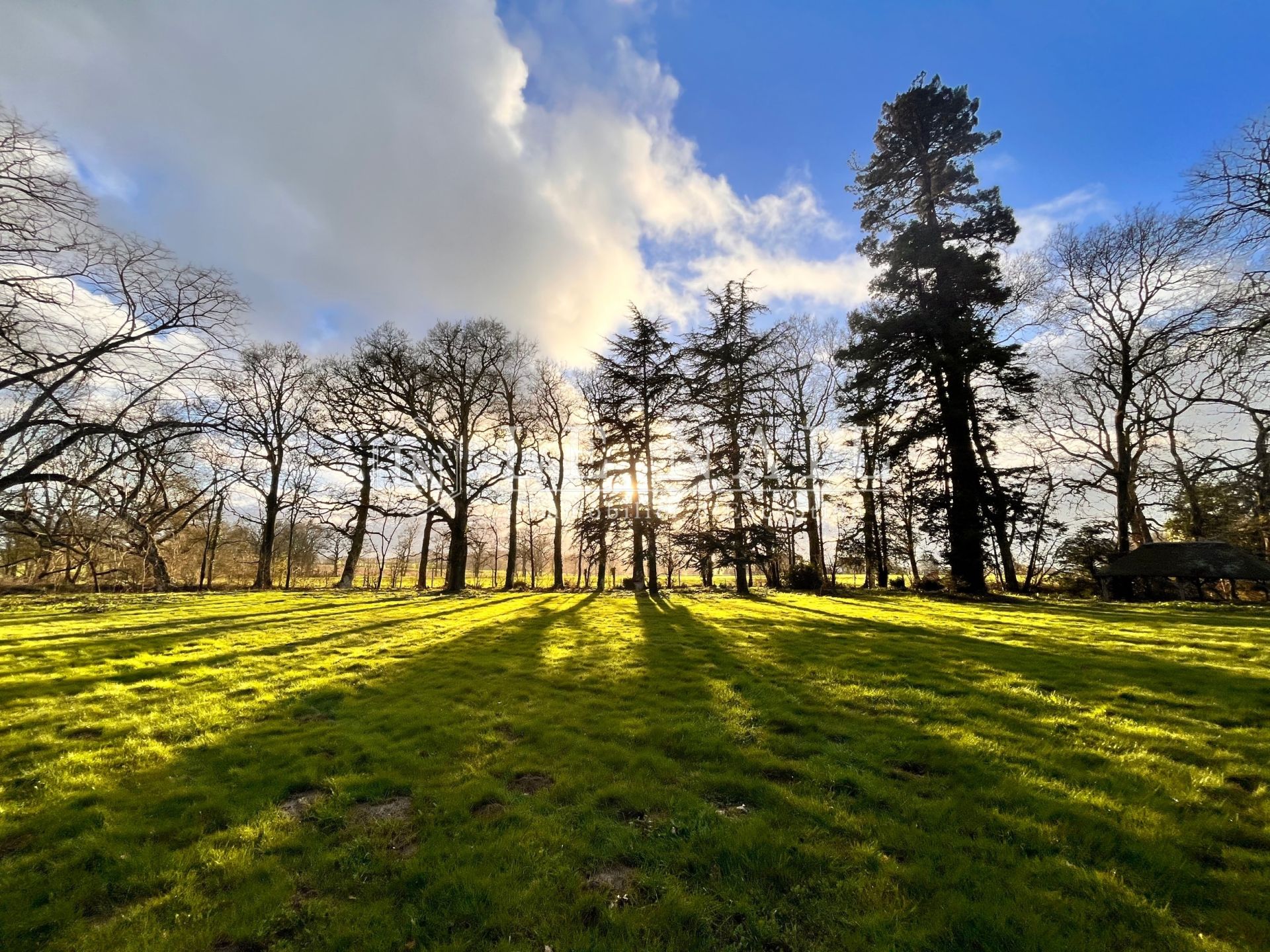 castle 15 rooms for sale on LA ROCHE SUR YON (85000)
