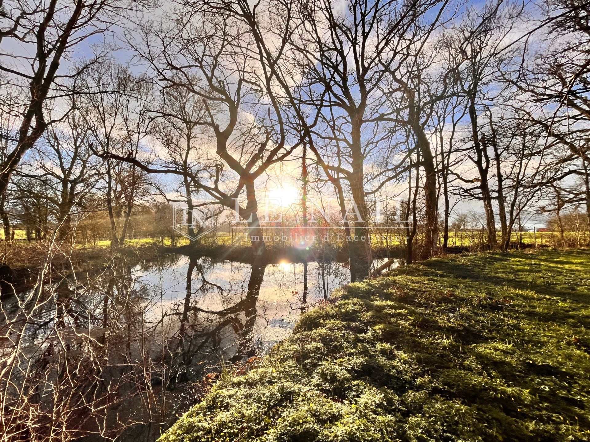 castle 15 rooms for sale on LA ROCHE SUR YON (85000)