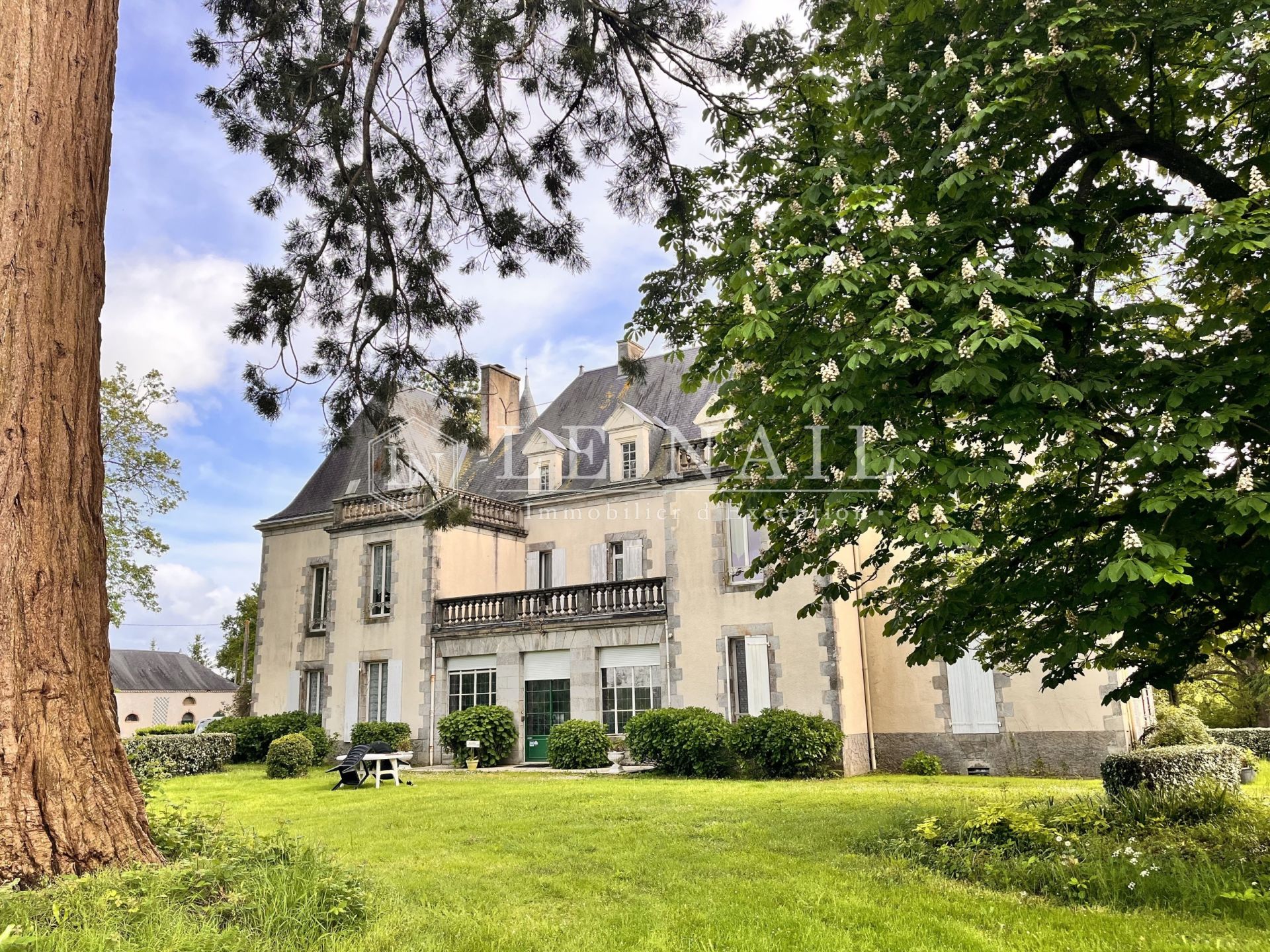 castle 15 rooms for sale on LA ROCHE SUR YON (85000)