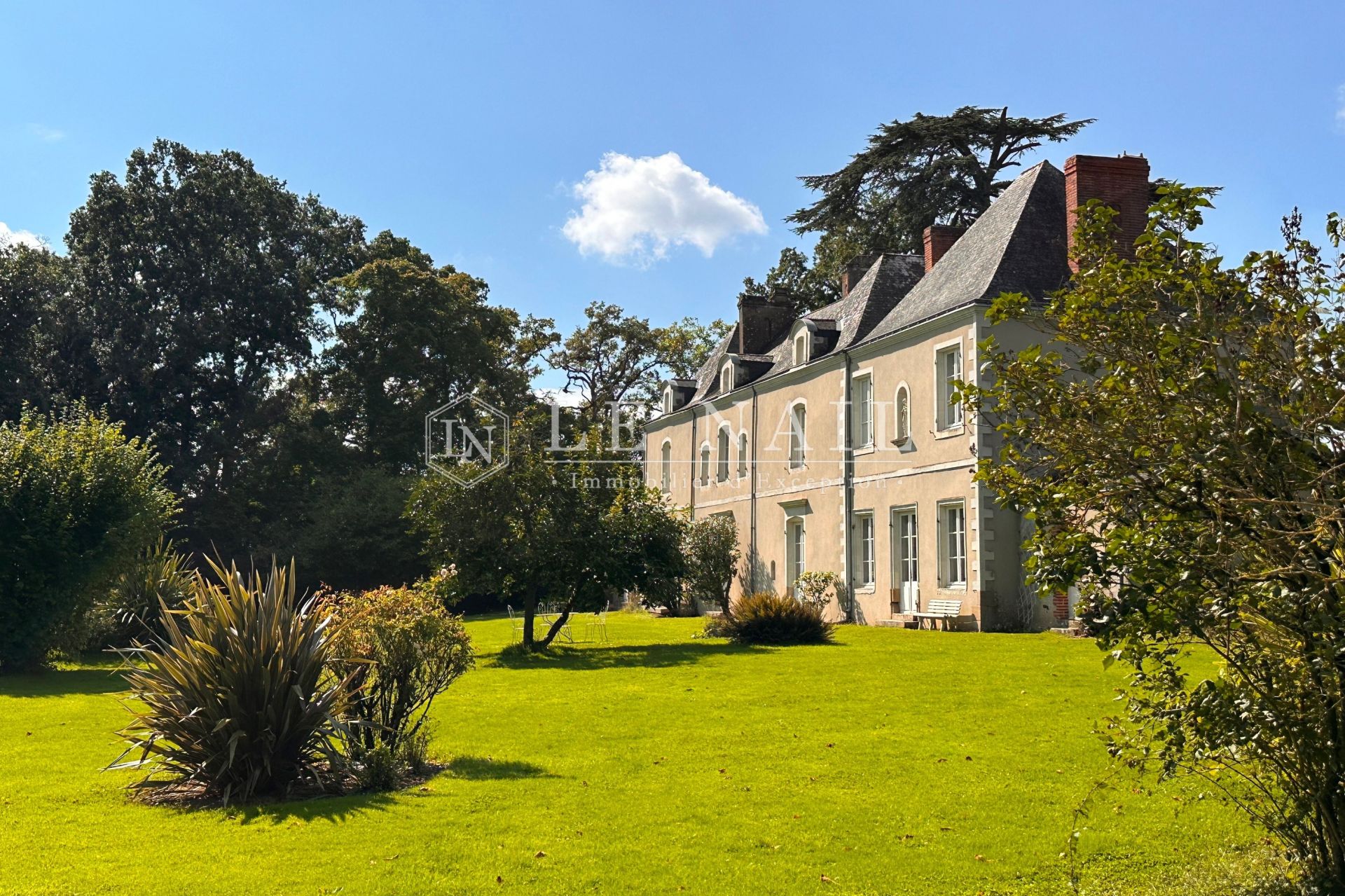 manor house 15 rooms for sale on LA HAIE FOUASSIERE (44690)
