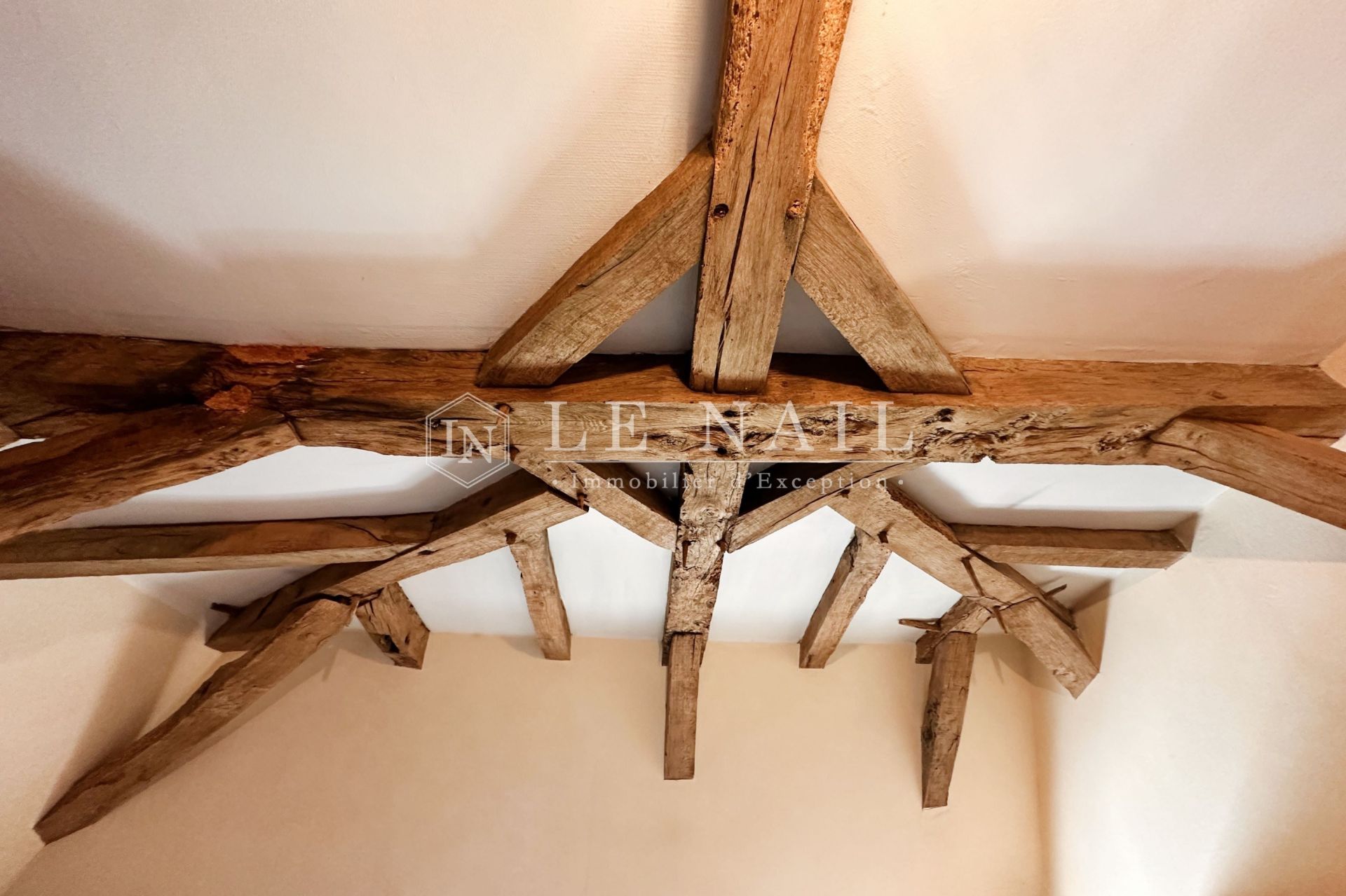 manor house 15 rooms for sale on LA HAIE FOUASSIERE (44690)