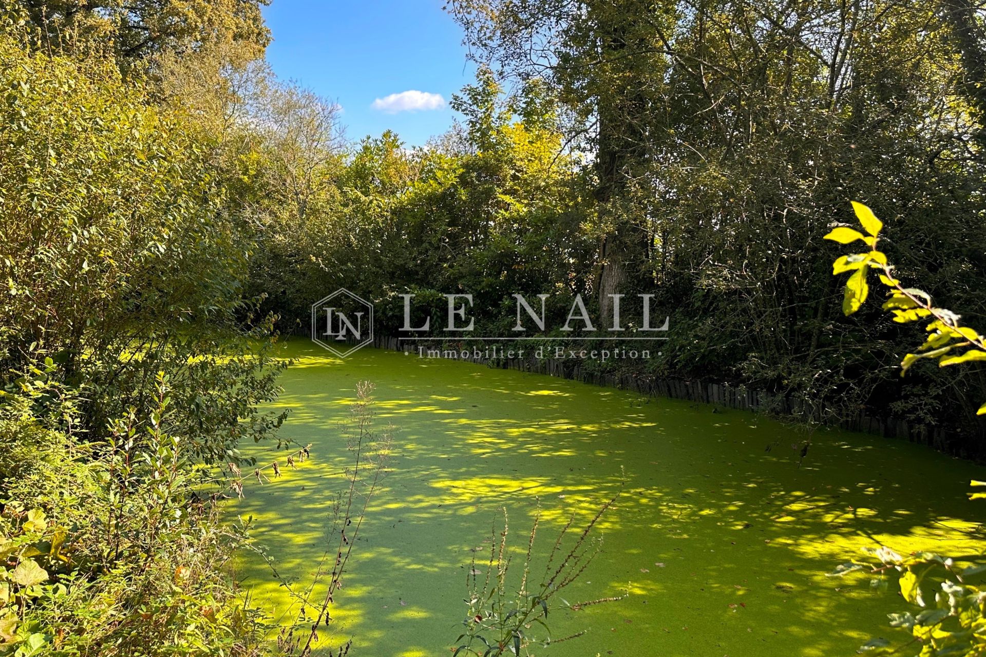 manoir 15 pièces en vente à LA HAIE FOUASSIERE (44690)