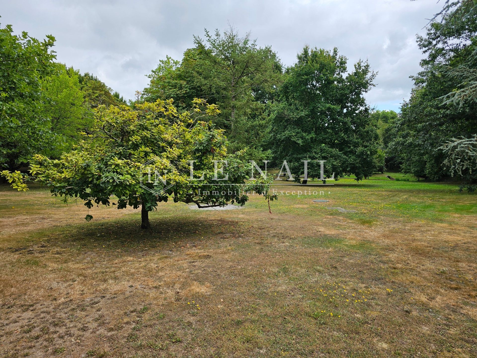 property 10 rooms for sale on ANGERS (49000)