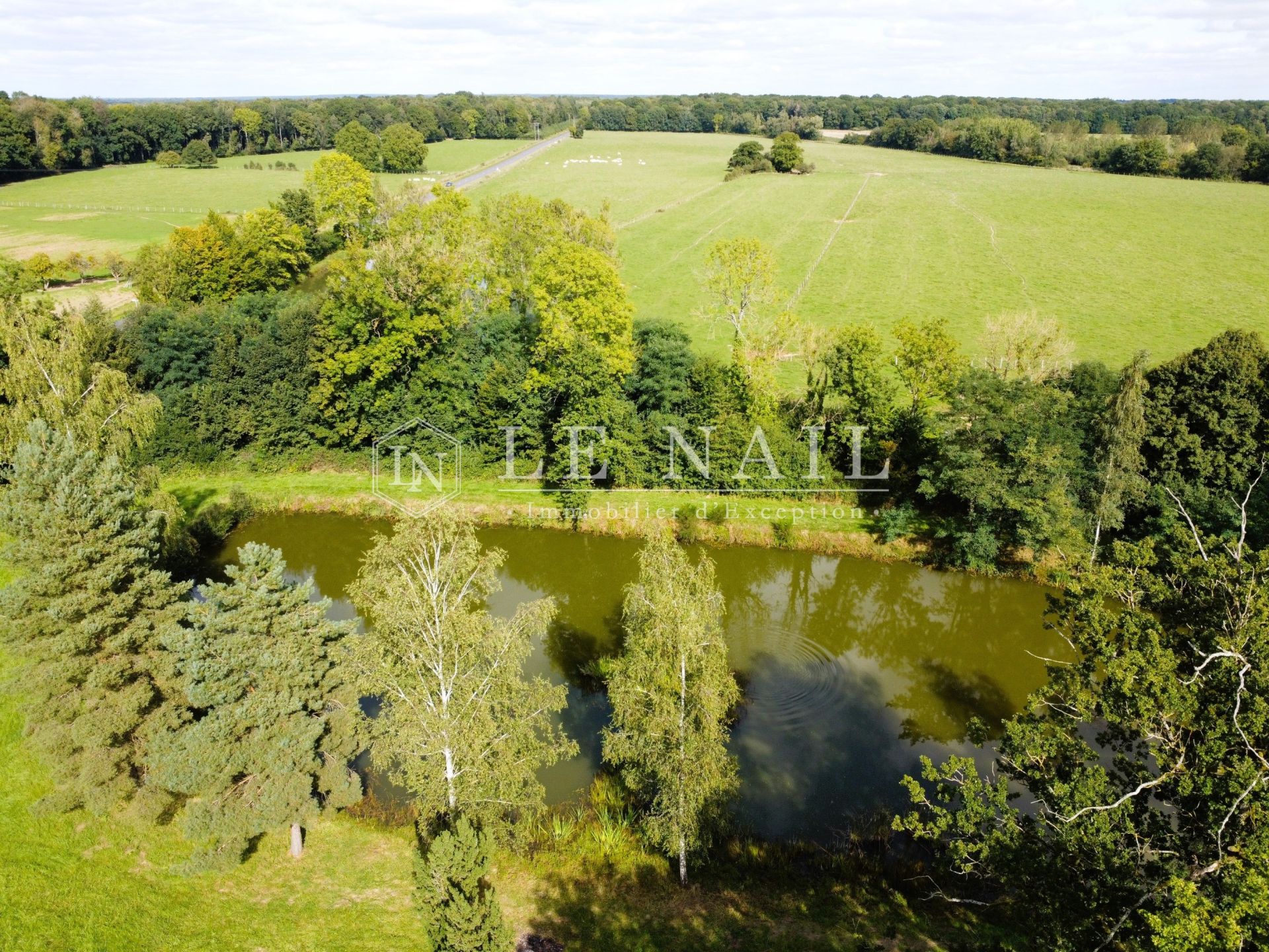 manoir 15 pièces en vente à EPERNAY (51200)